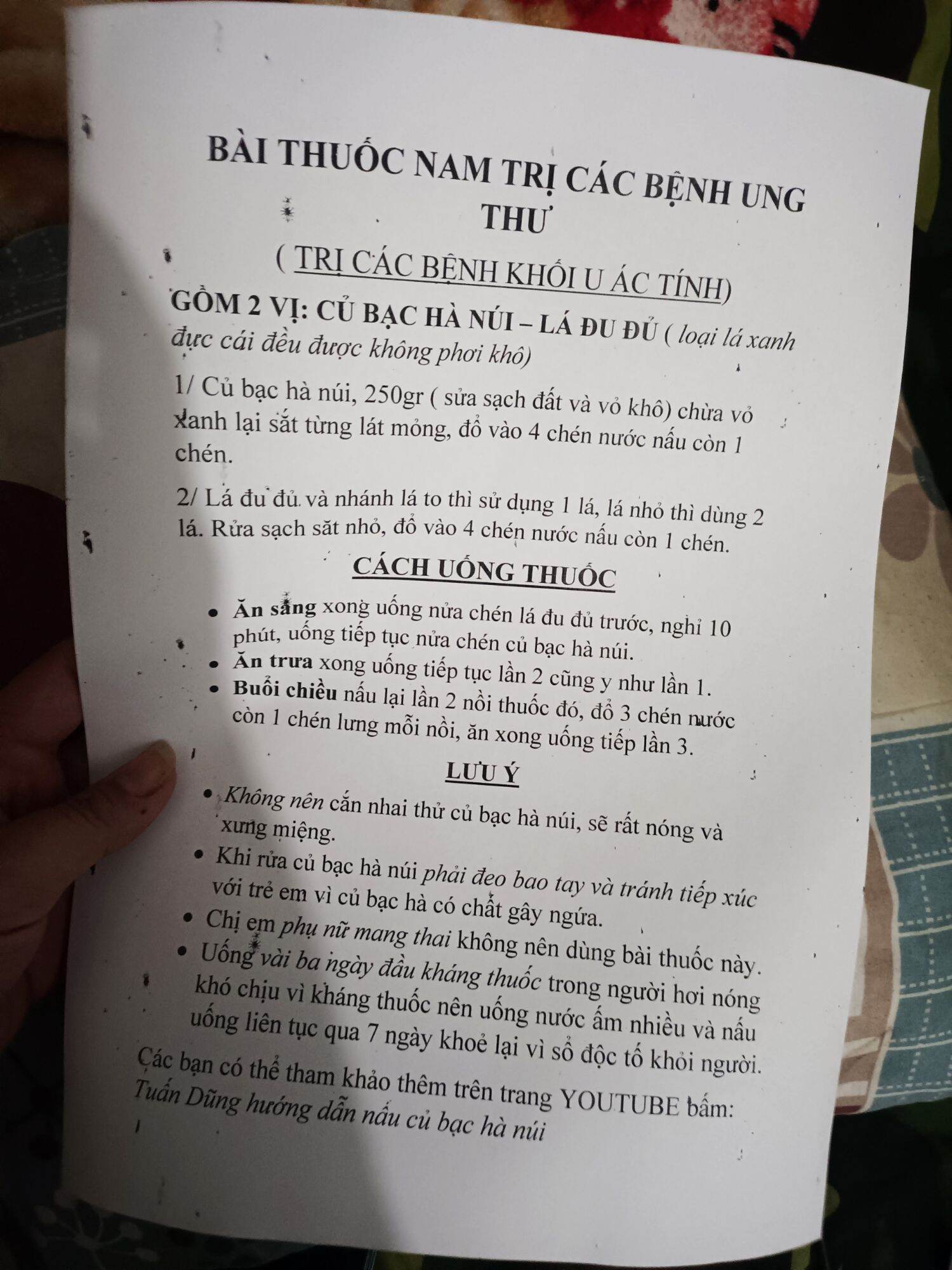 Bạc Hà Núi An Giang 100% (giấc mơ trong cuộc chiến chống Ungthu,..)