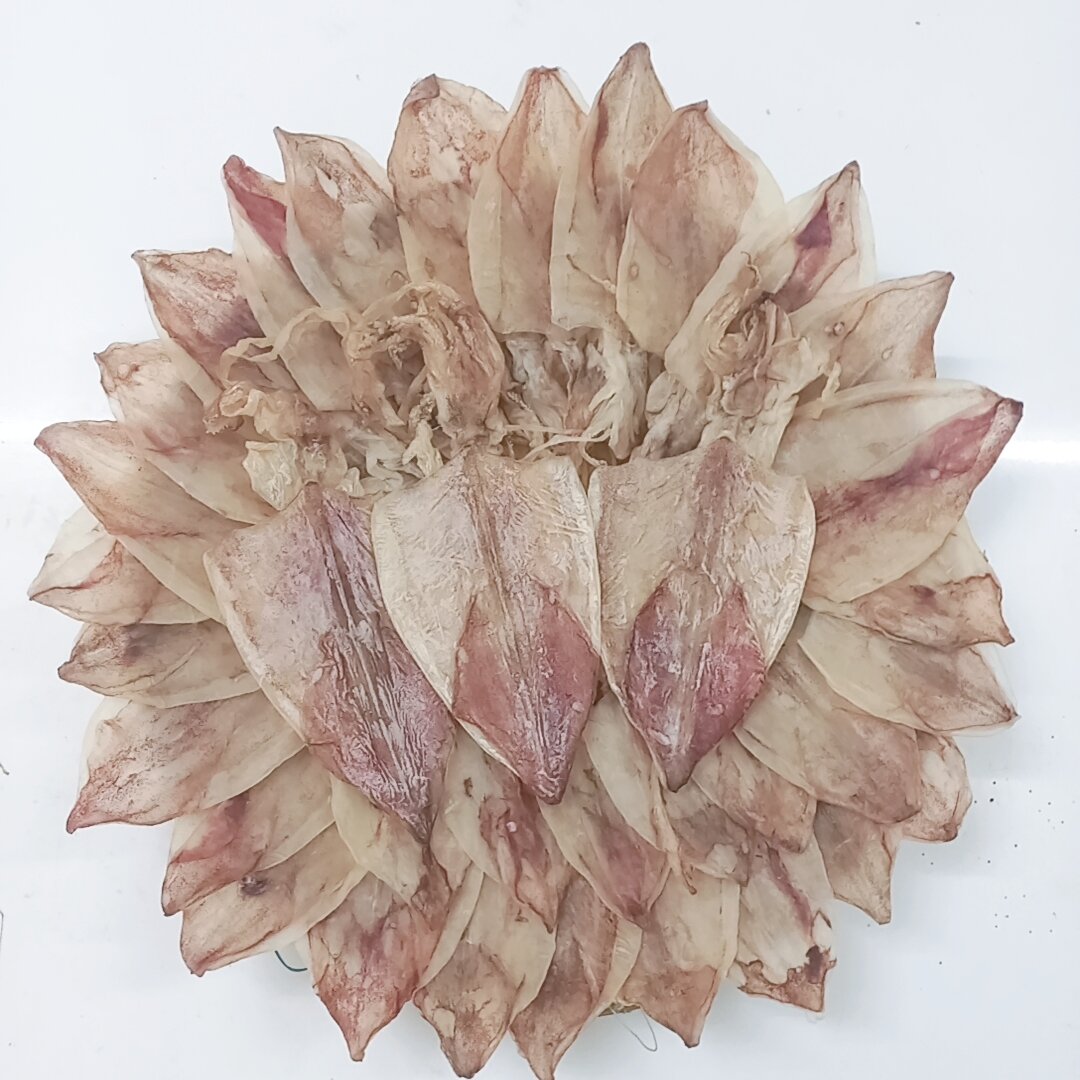 Set 3 cỡ khô mực trung và lớn