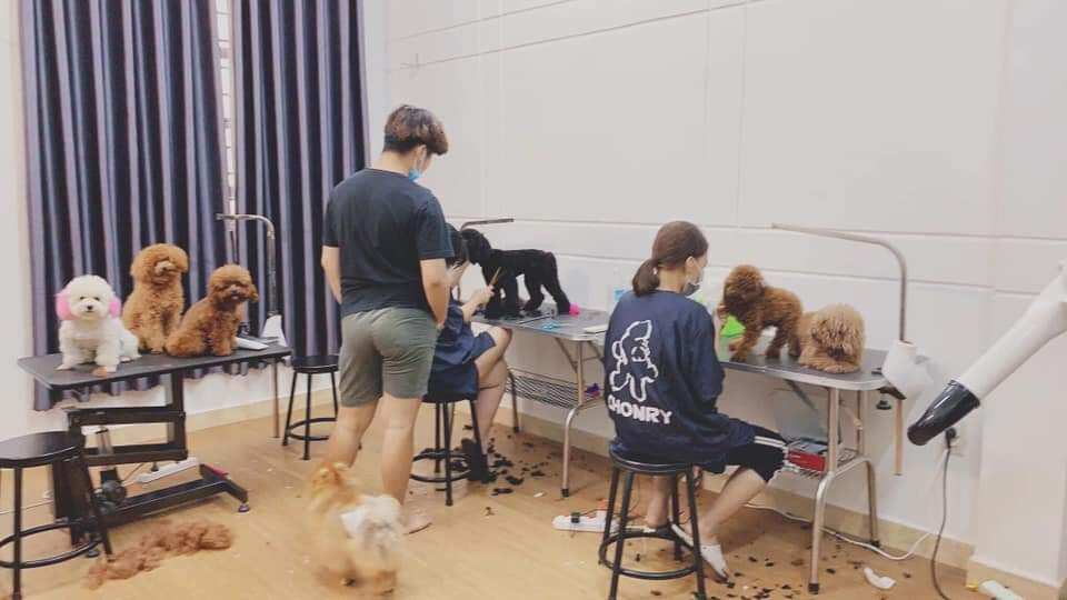 Áo Grooming Chonry