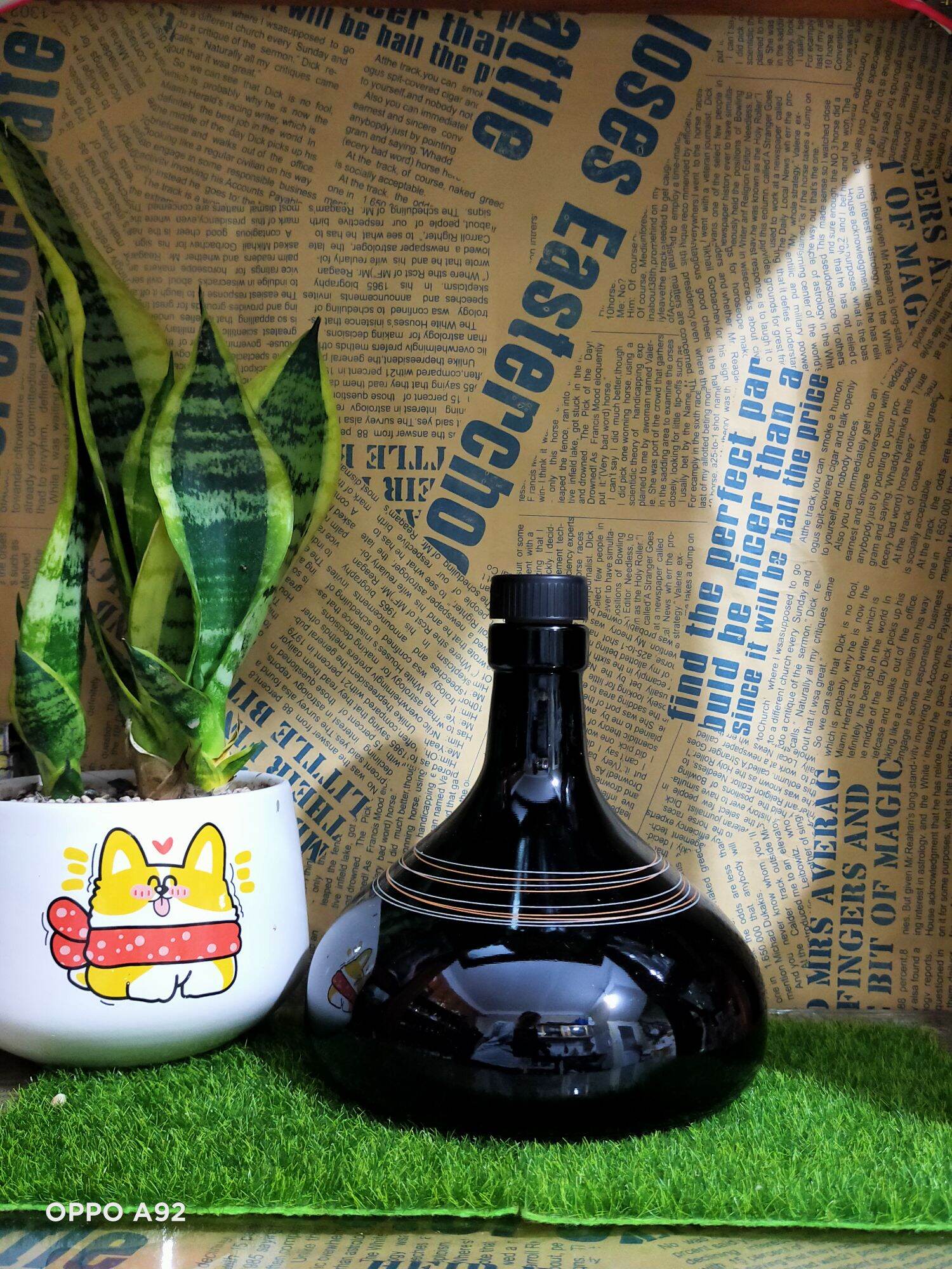 Vỏ Chai CHivass đĩa độc đáo