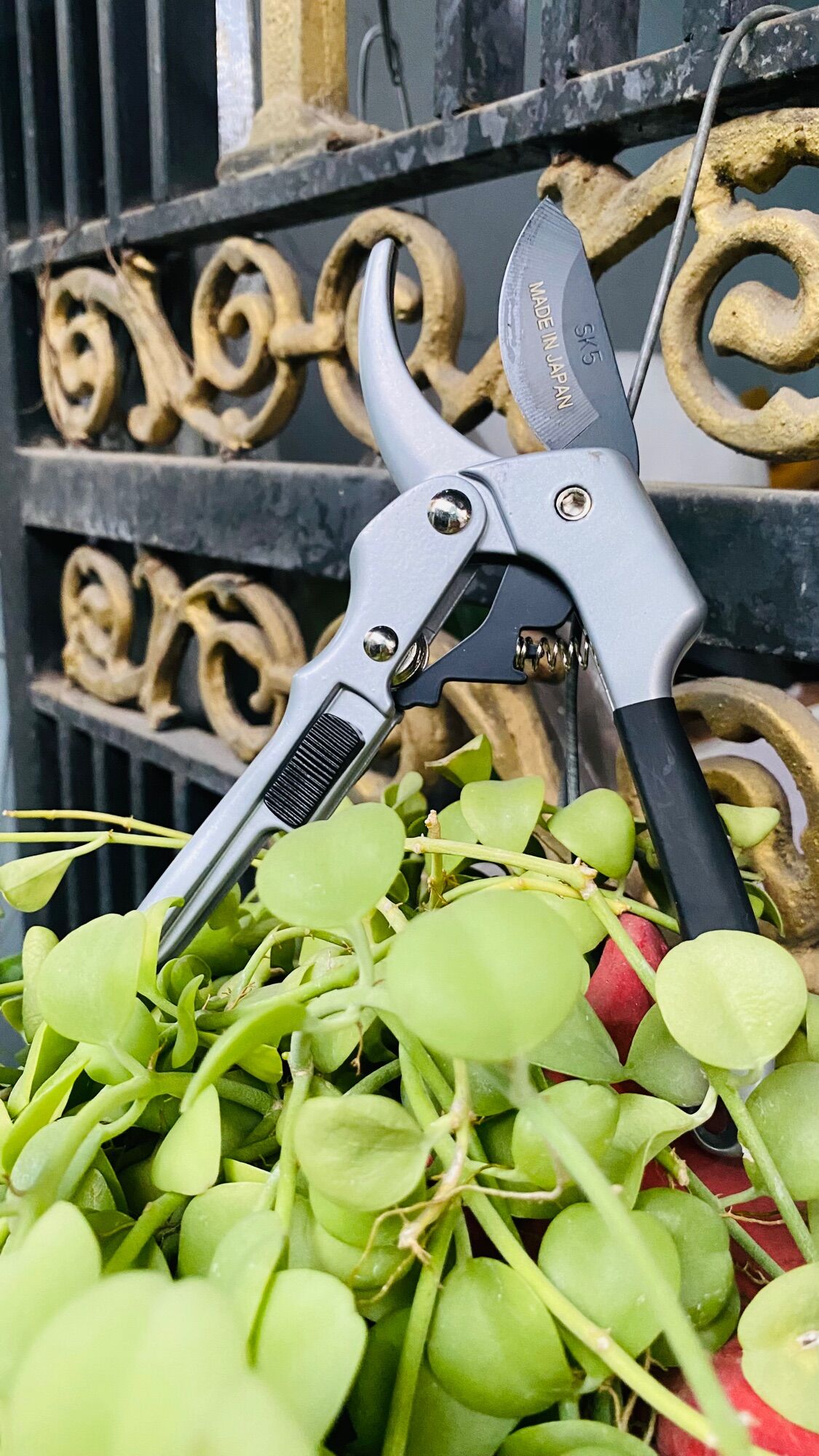 Kéo cắt cành cộng lực SK5 Nhật siêu sắc bén
