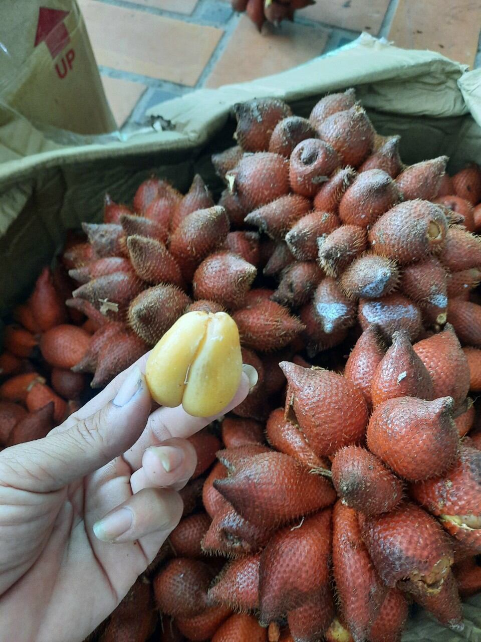 Trái Mây Thái - 1kg