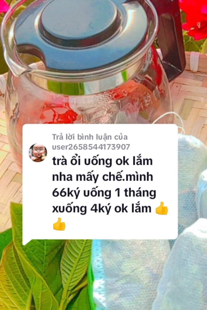 Trà lá Ổi giảm cân 30 gói