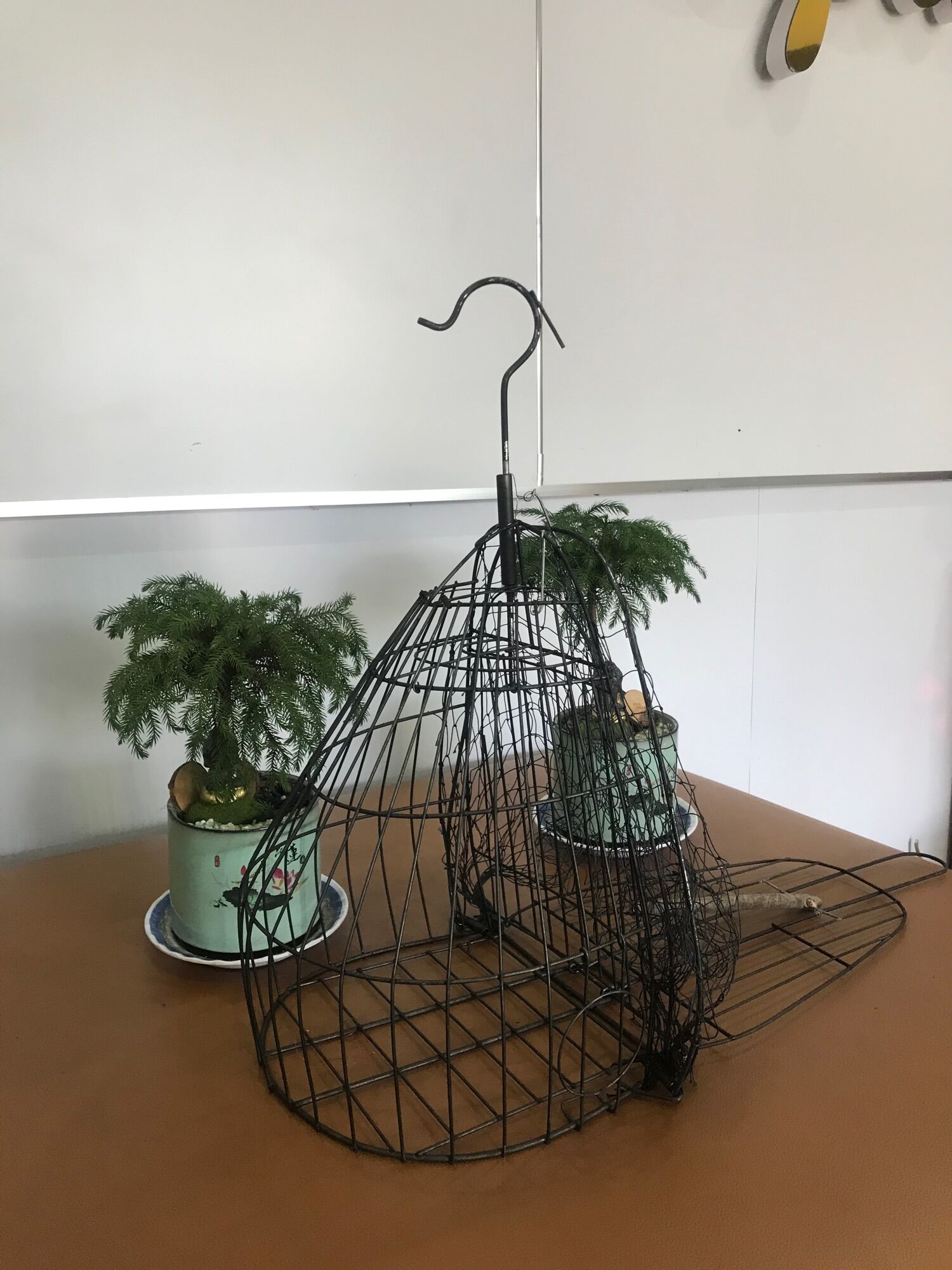 Lồng bẫy chim cu ( lồng bẫy chim cu gáy)