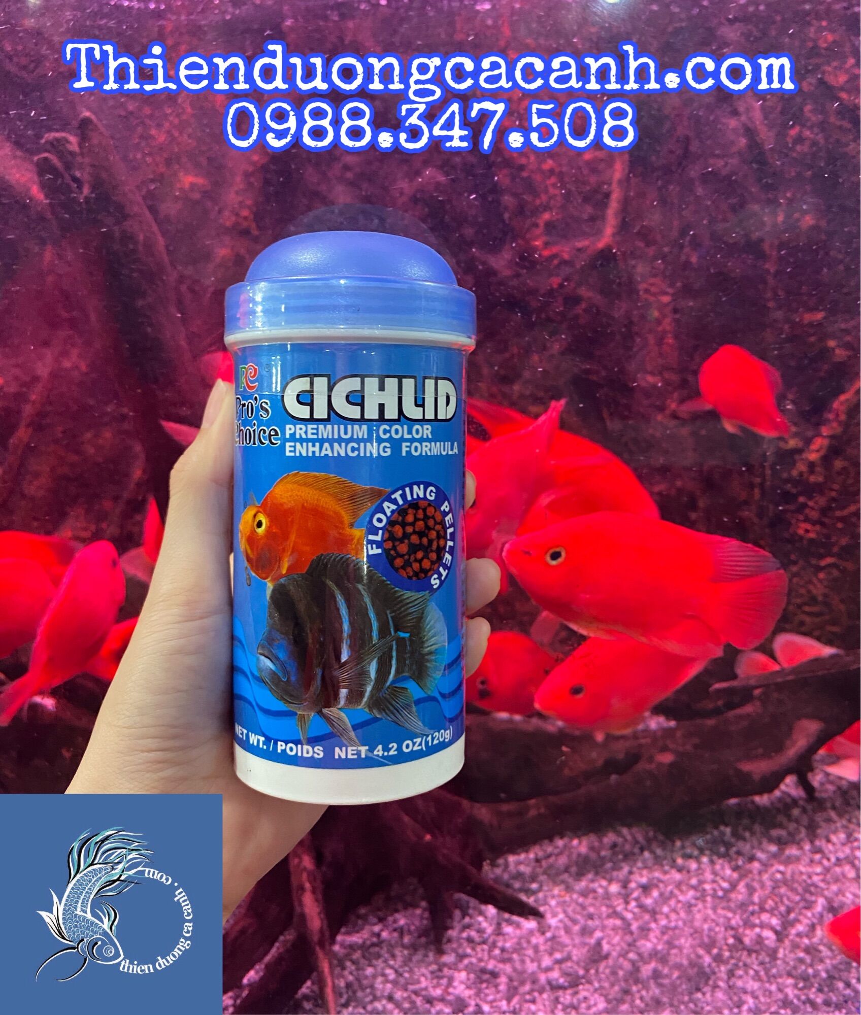 Thức Ăn Dành Cho Cá Dòng Cá CICHILD - Hủ 120gram