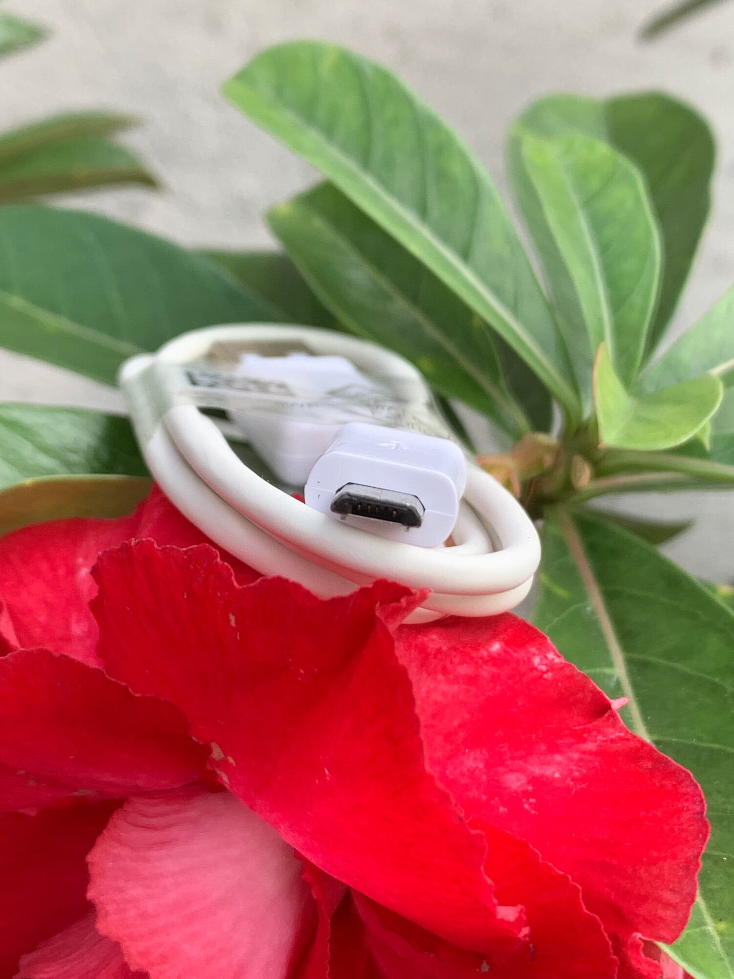 Cáp Micro hàng công ty(cáp sịn giá rẻ)