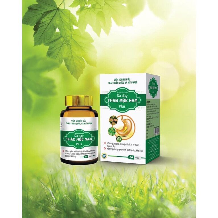 DẠ DÀY THẢO MỘC NAM
