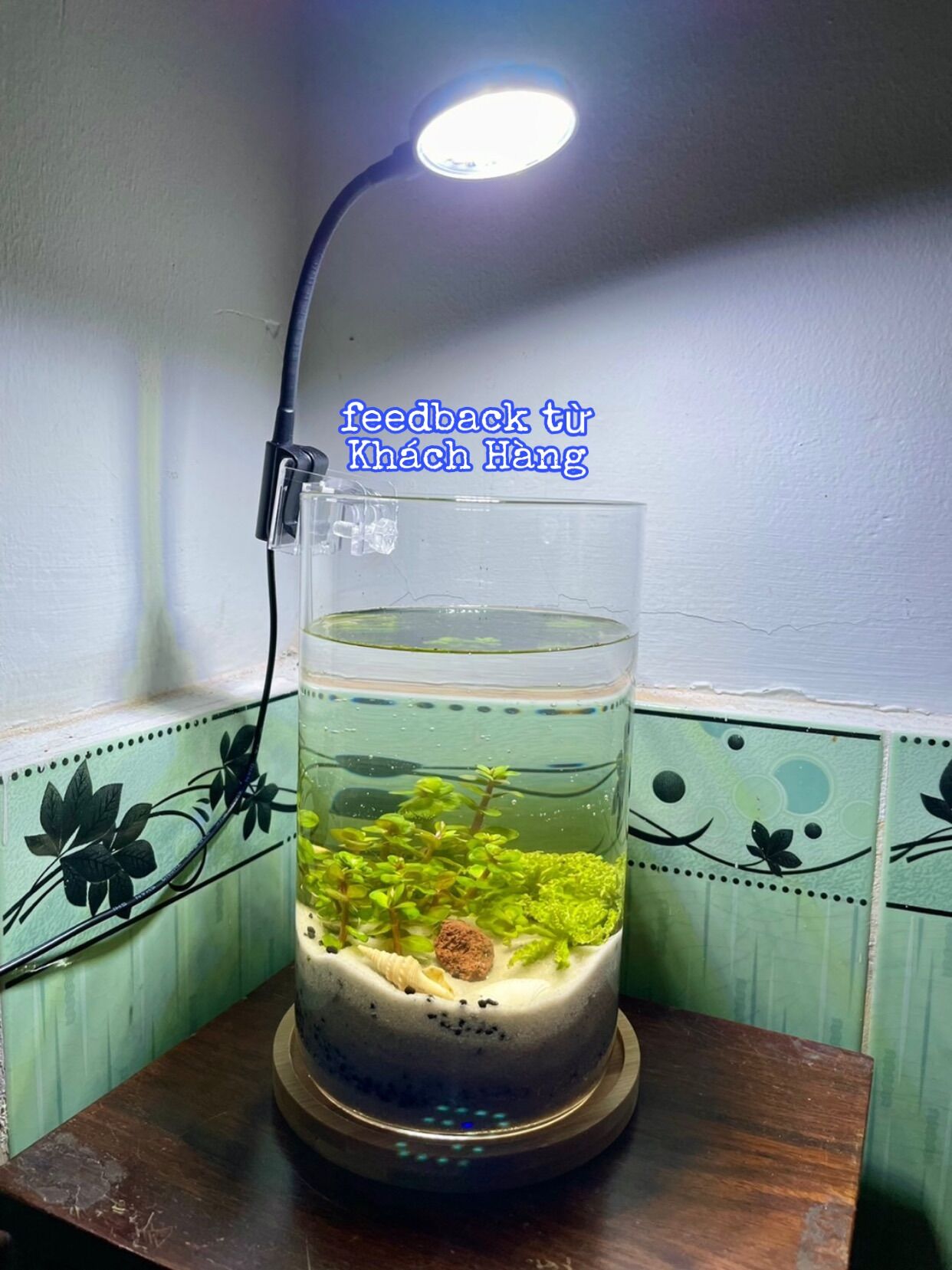 Đèn Led Mini CoCo JY-25 Dành Cho Bể Cá Thuỷ Tinh