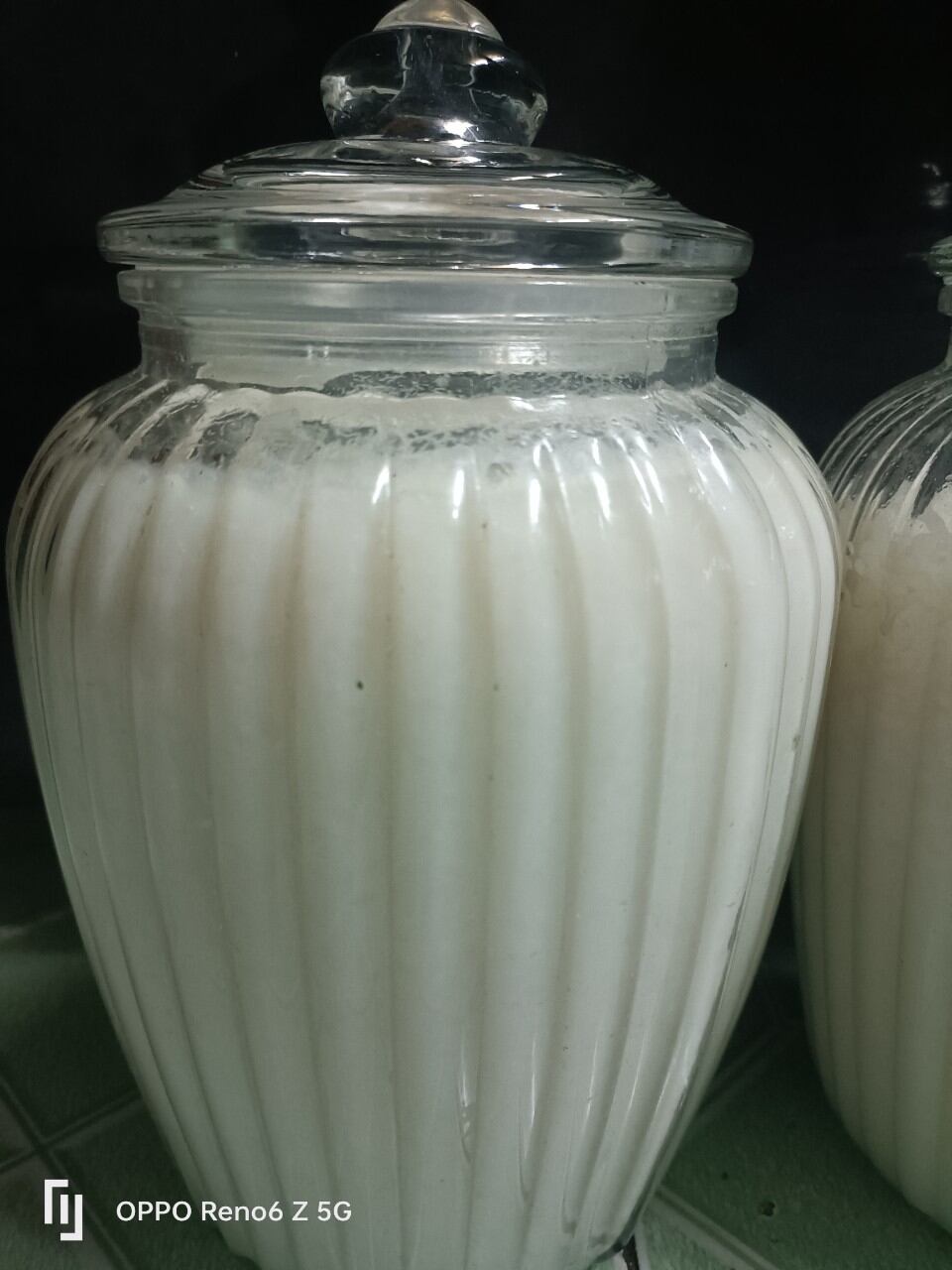 Mẻ chua (CƠM MẺ).dùng hoặc nuôi lại.