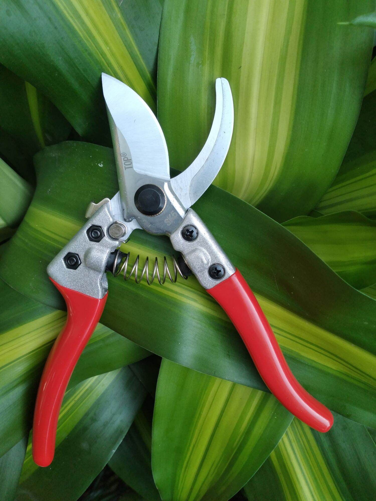 Kéo cắt cành Top thép sk5 made in Taiwan, kéo cực sắc bén