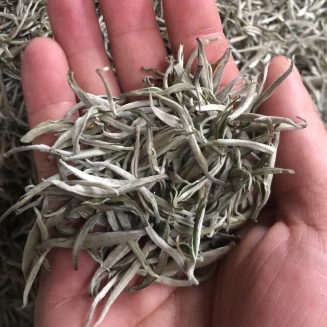 1kg trà shan tuyết