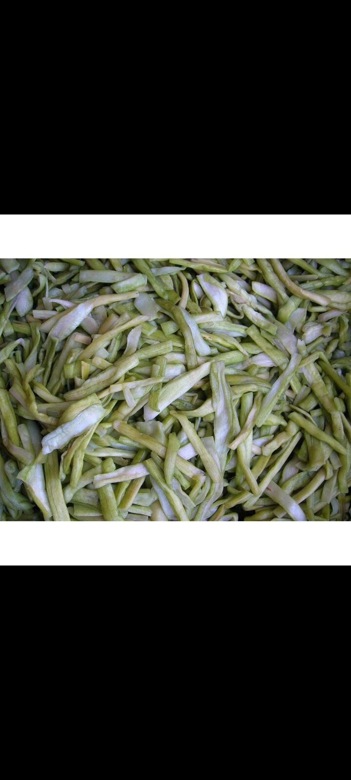 dọc mùng bạc hà phơi khô sấy khô 100g