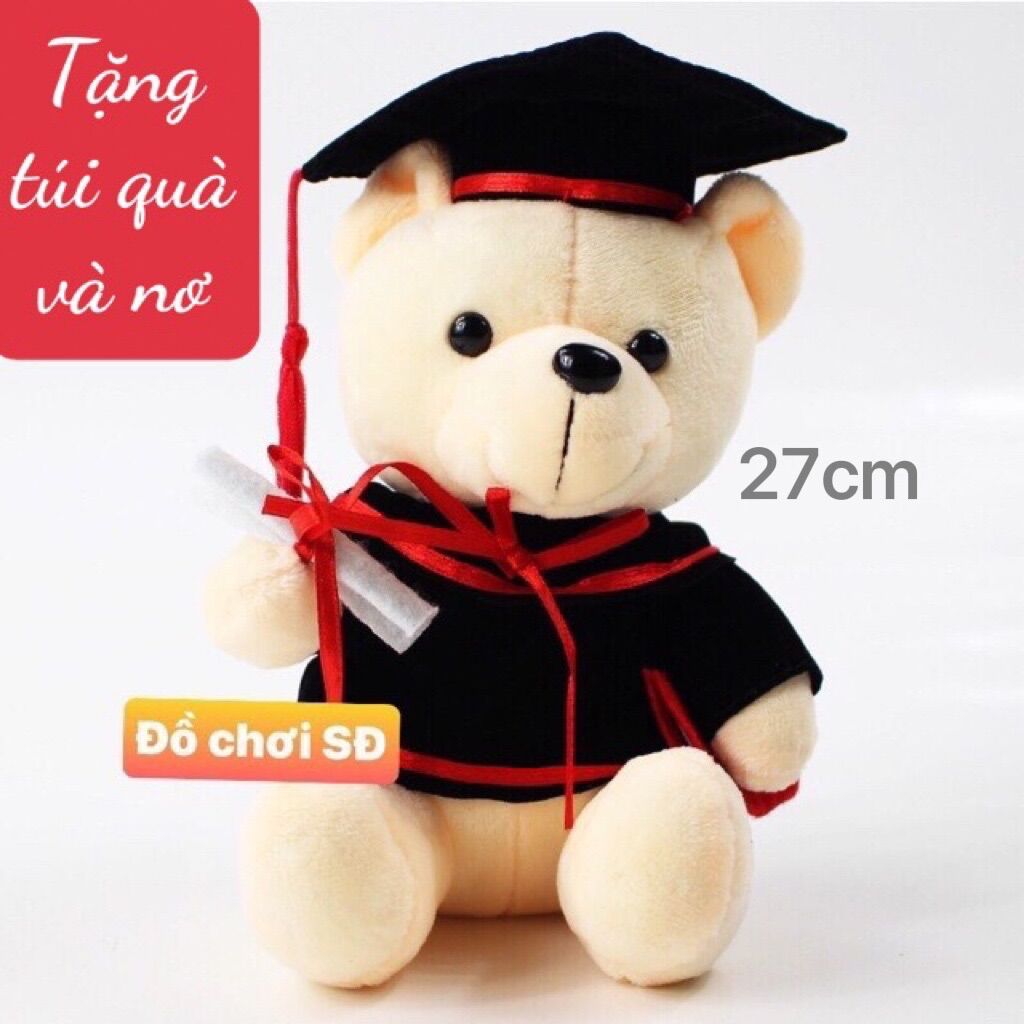 Thú bông gấu tót nghiệp 27 cm - tặng túi gói quà và nơ