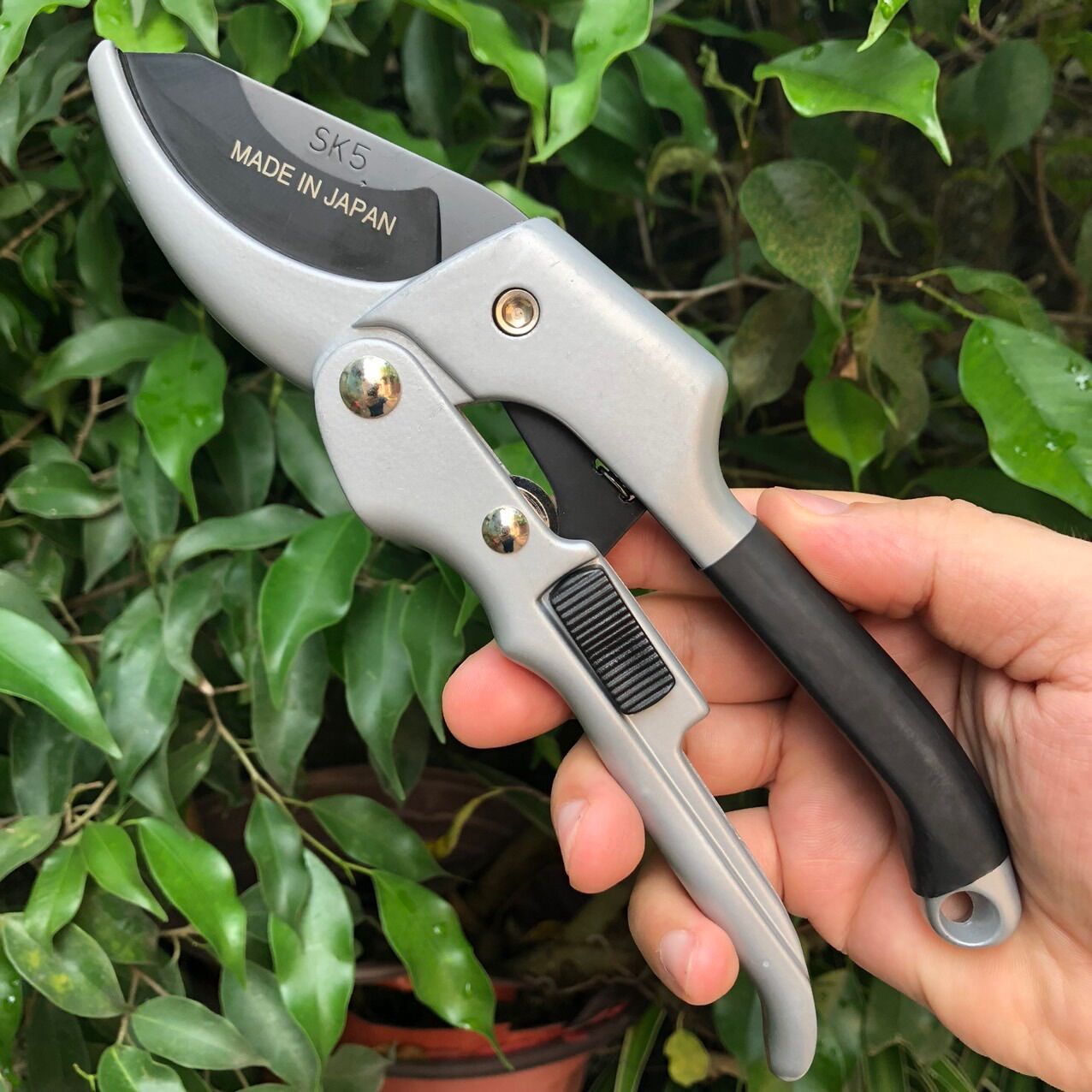 Kéo cắt cành cộng lực SK5 Nhật siêu sắc bén