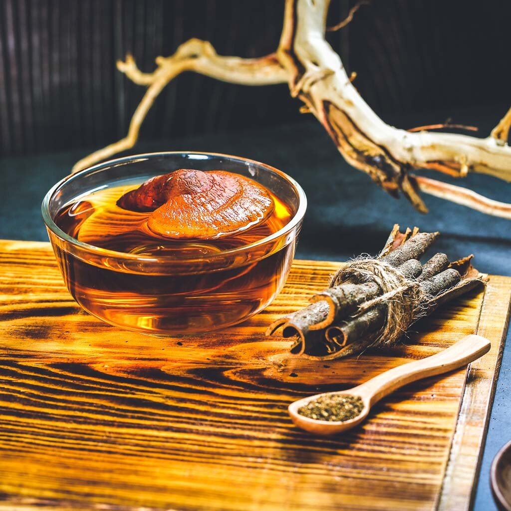 Nấm linh chi đỏ Đà Lạt