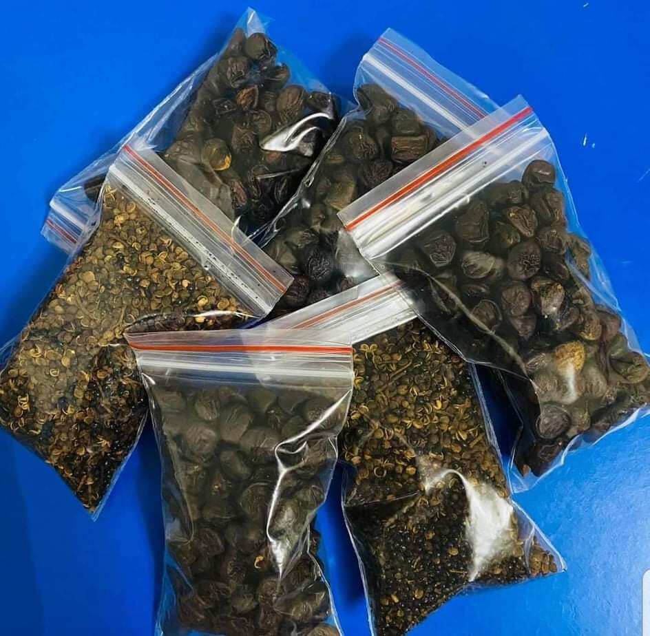 Combo 2 gói hạt dổi ,mắc khén rừng