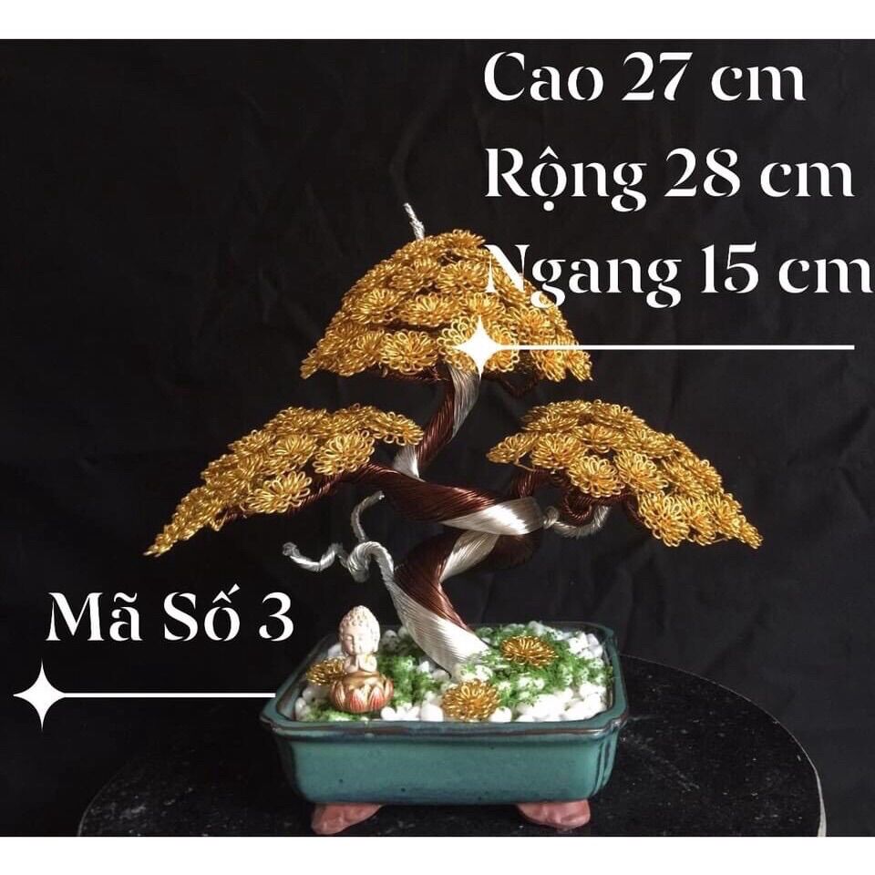 Cây cảnh bonsai handmade