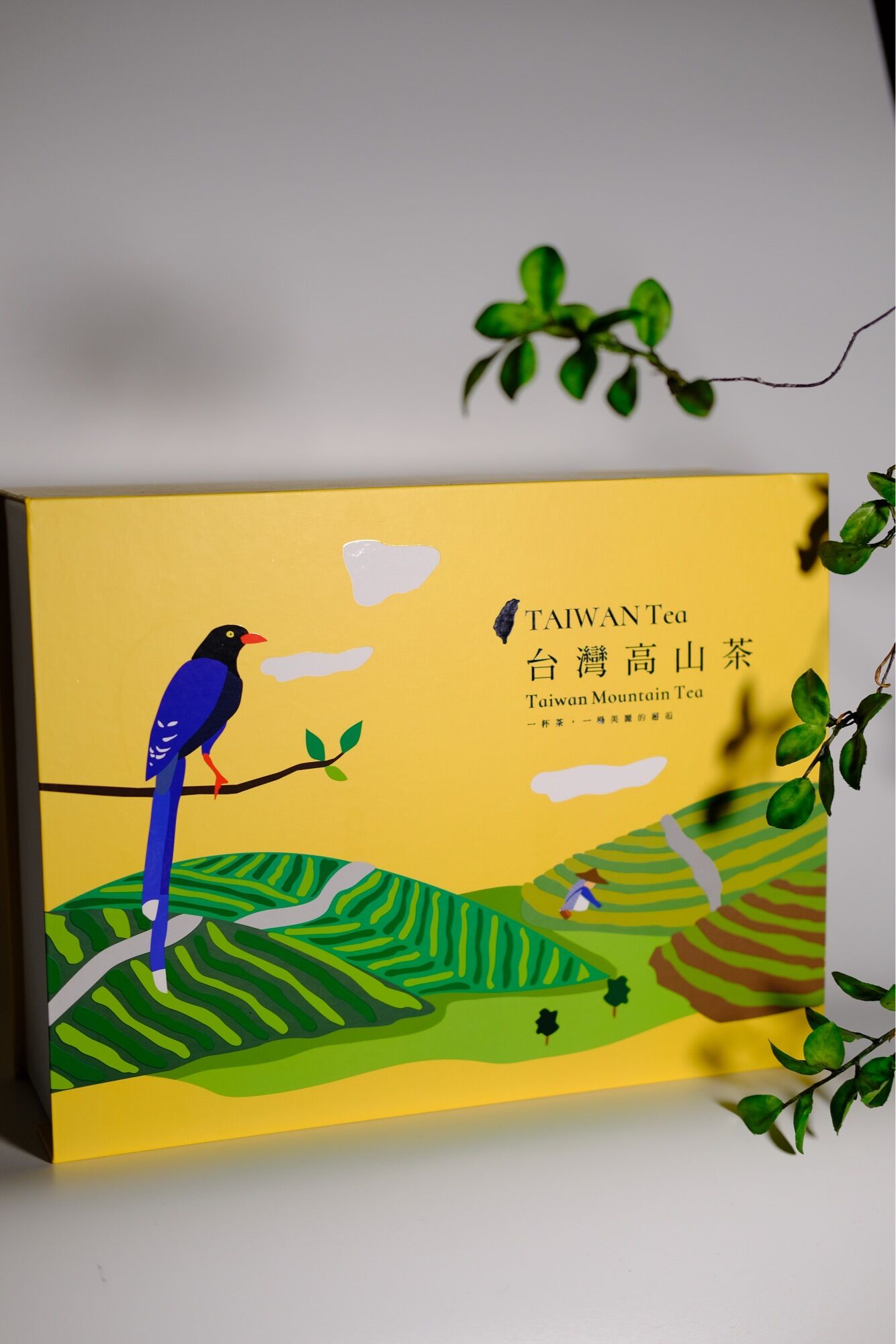 Set quà tặng Tết Olong Thanh Xuân