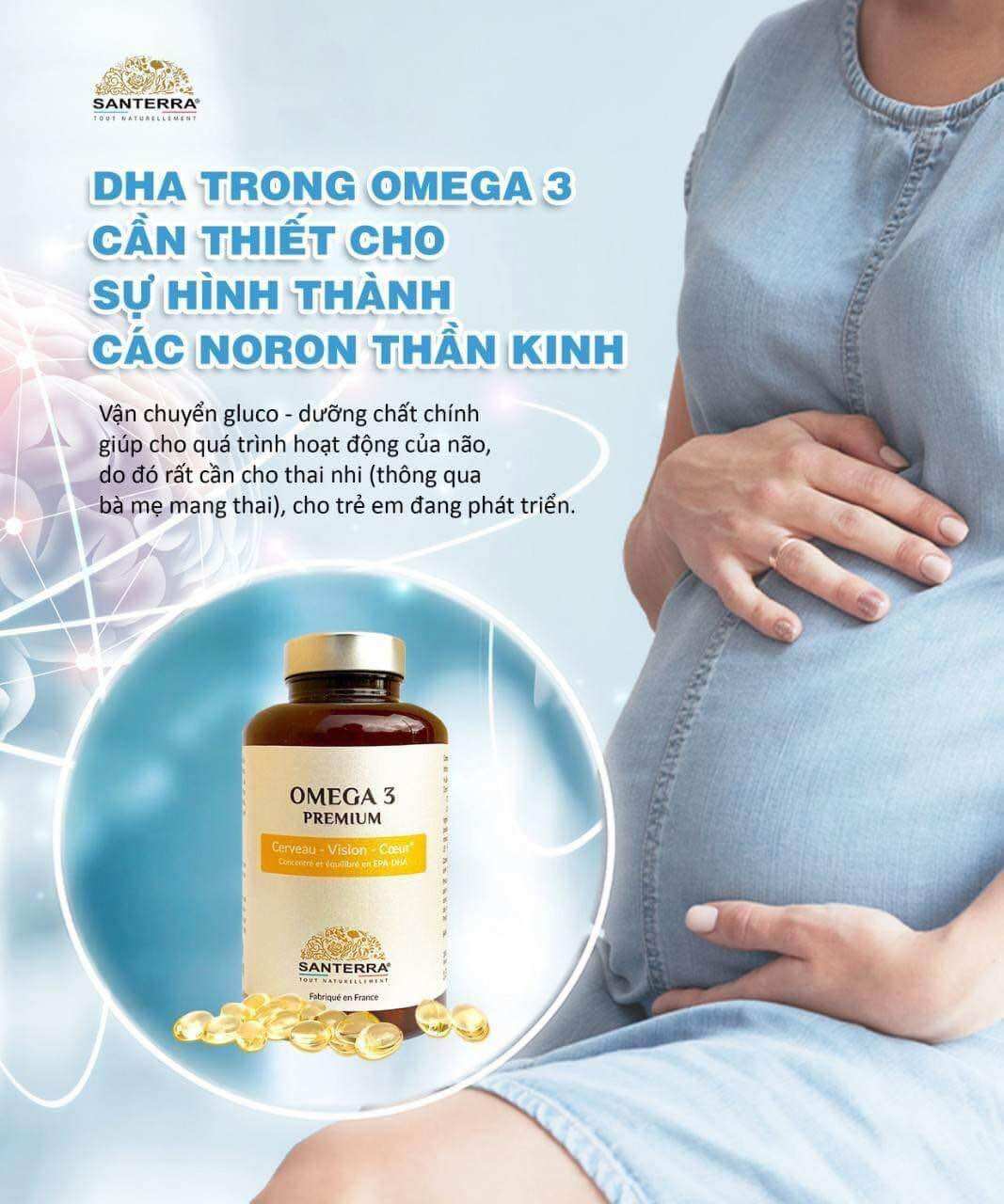 [ BILL PHÁP] Viên Omega 3 Premium Santerra Pháp 200 viên