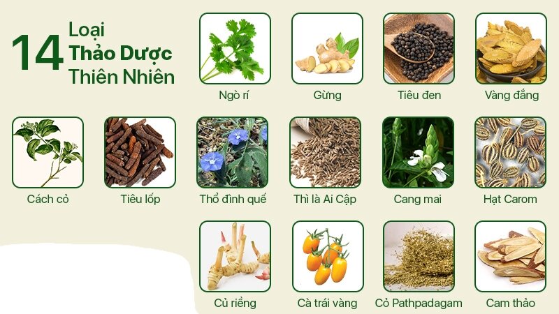 Trà Thảo Dược Eugica Cold & Flu