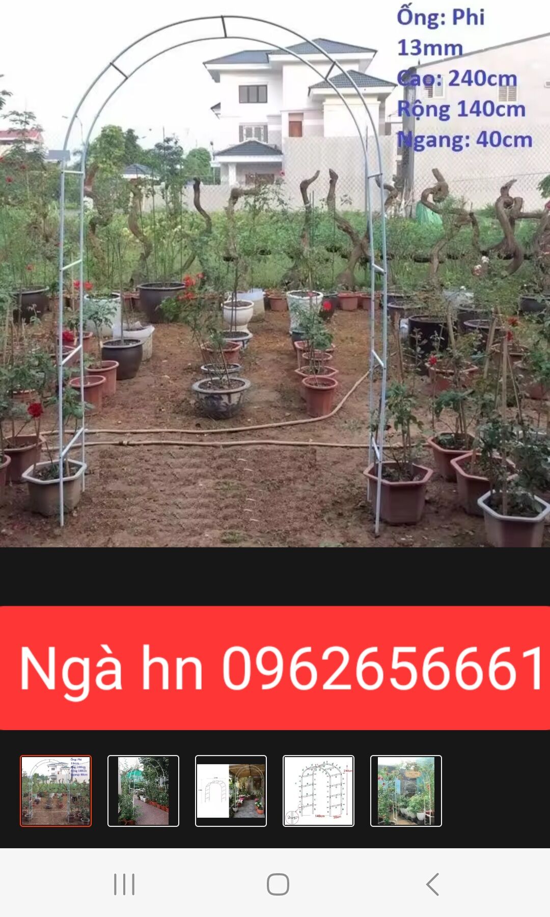 Khung Vòm Hoa leo cây cảnh