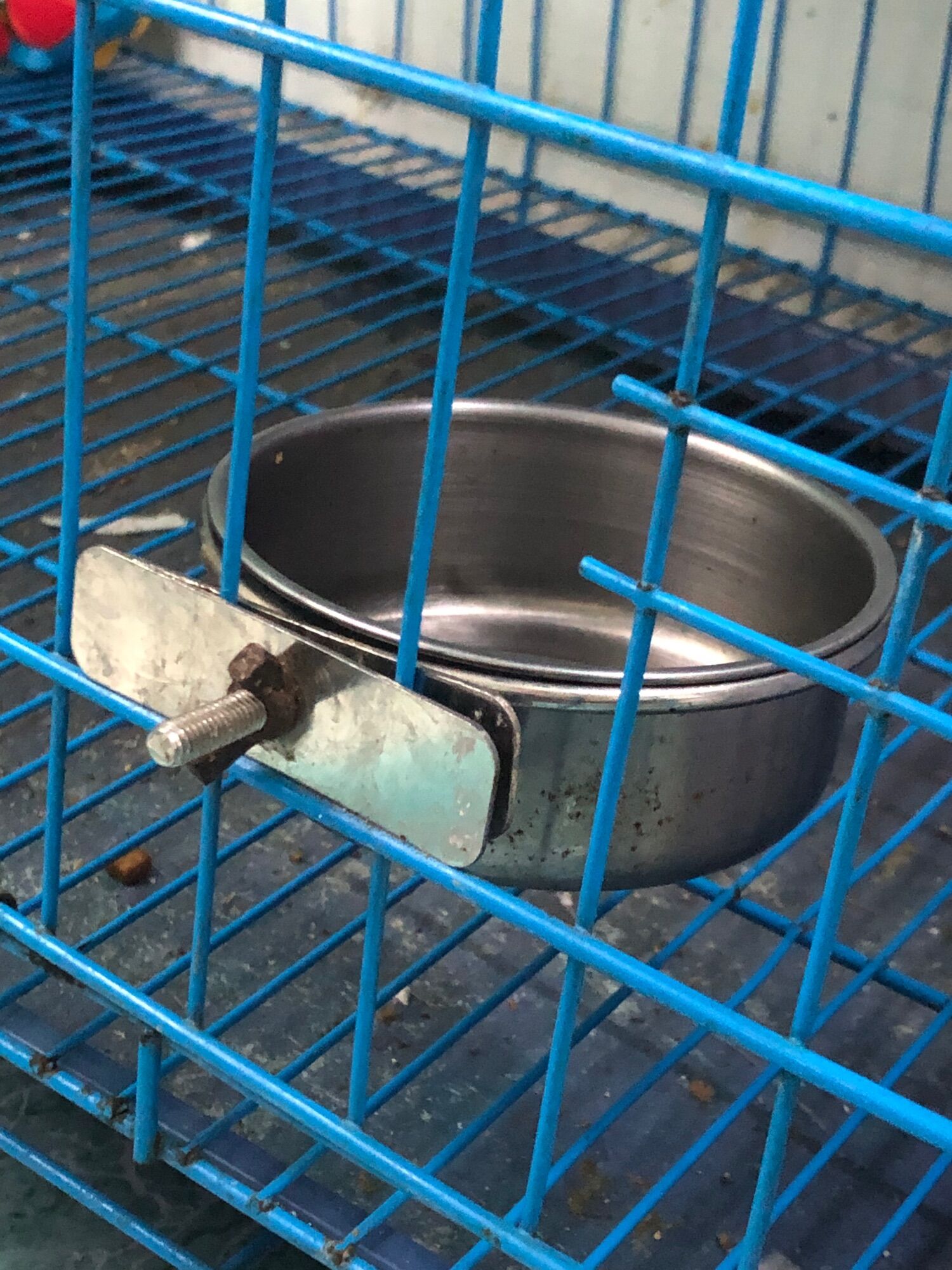 Cóng inox treo nan lồng