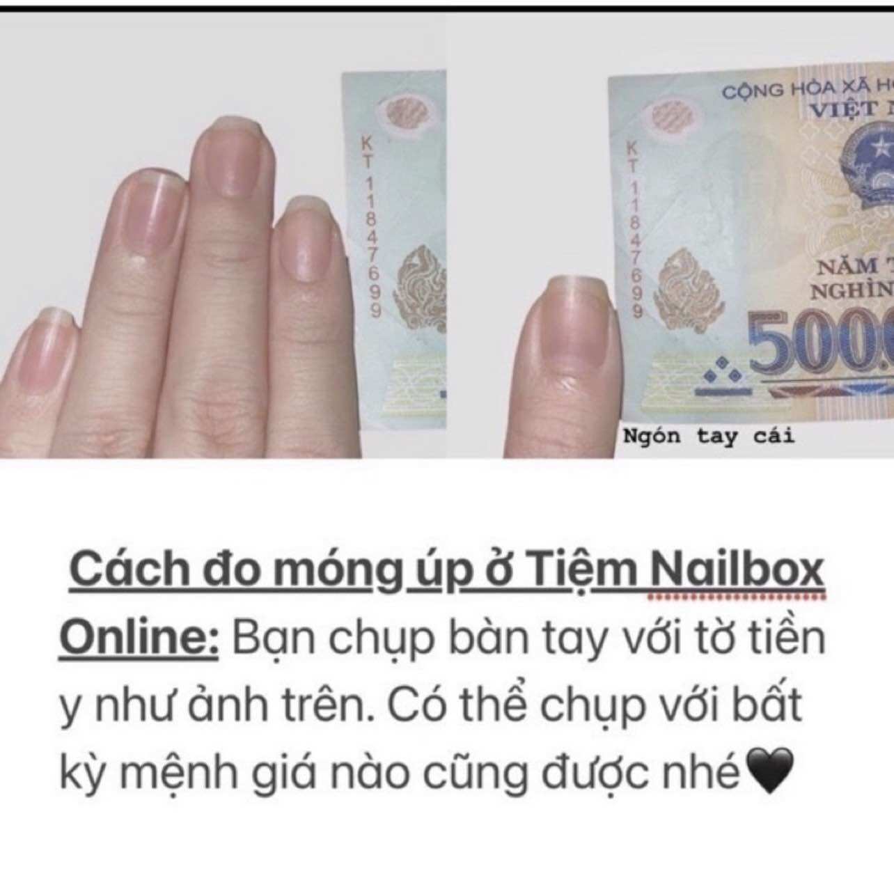 Nailbox [398] - Móng giả vẽ gấu nổi và cherry siêu cưng