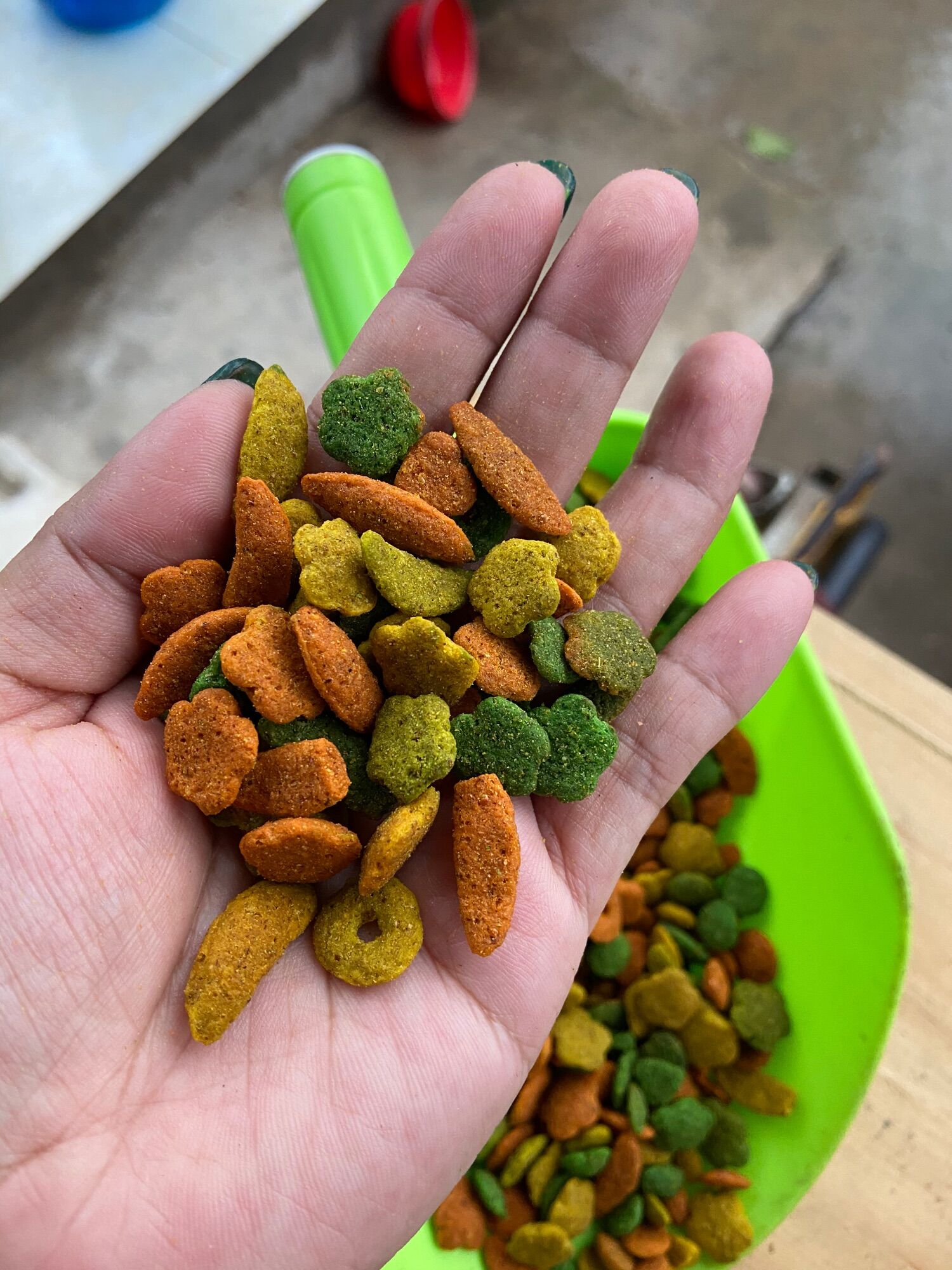 [HCM]Hạt trái cây cho vẹt lớn chiết 100g.
