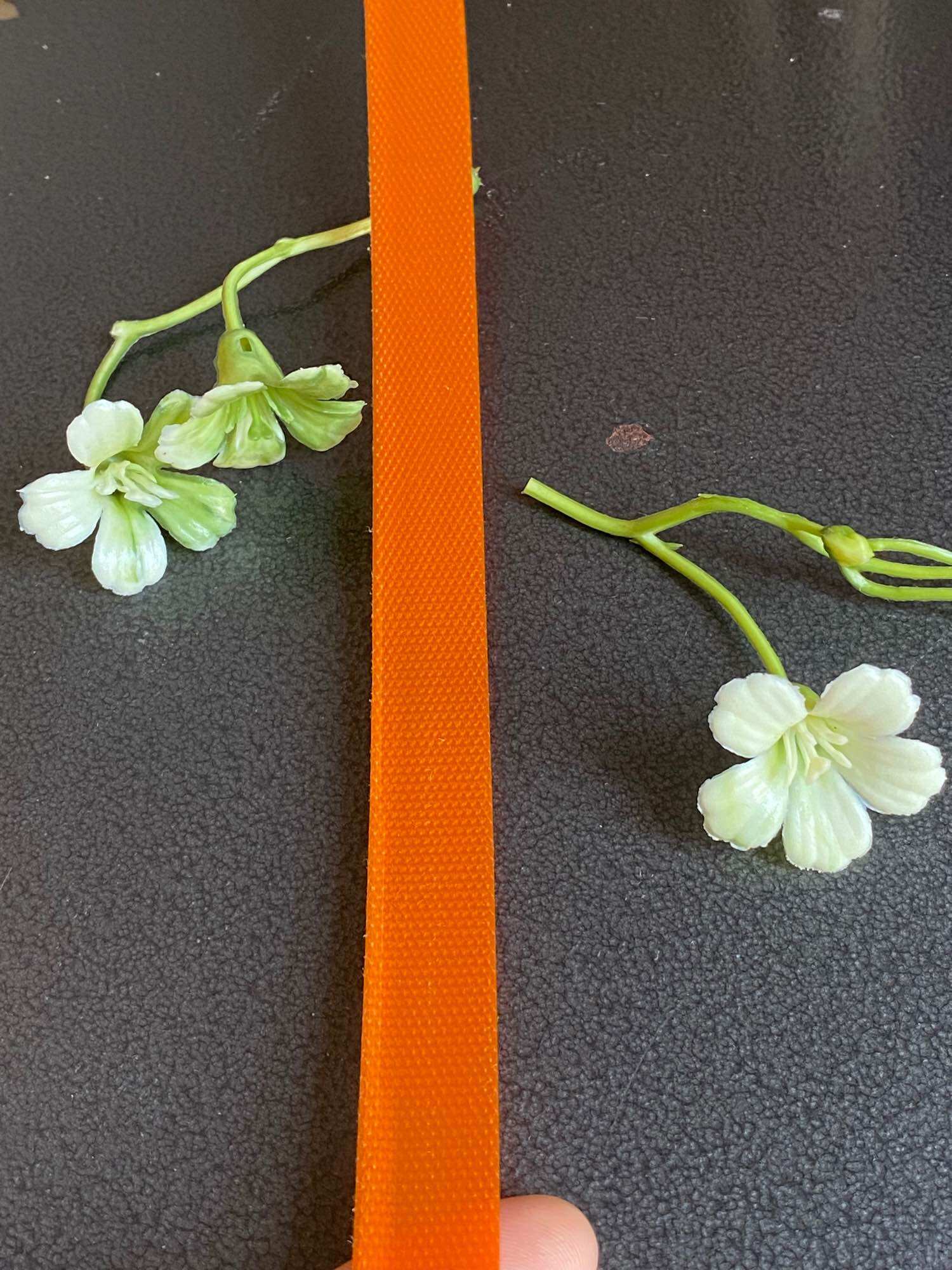 Dây nhựa làm đồ thủ công handmade Đan giỏ đi biển đi chơi đi chợ. Hàng loại 1 không mùi không xù không mốc bền đẹp