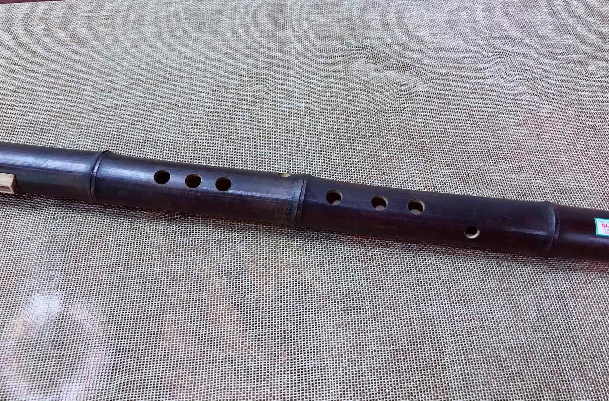Sáo Mèo Cải Tiến 9 lỗ