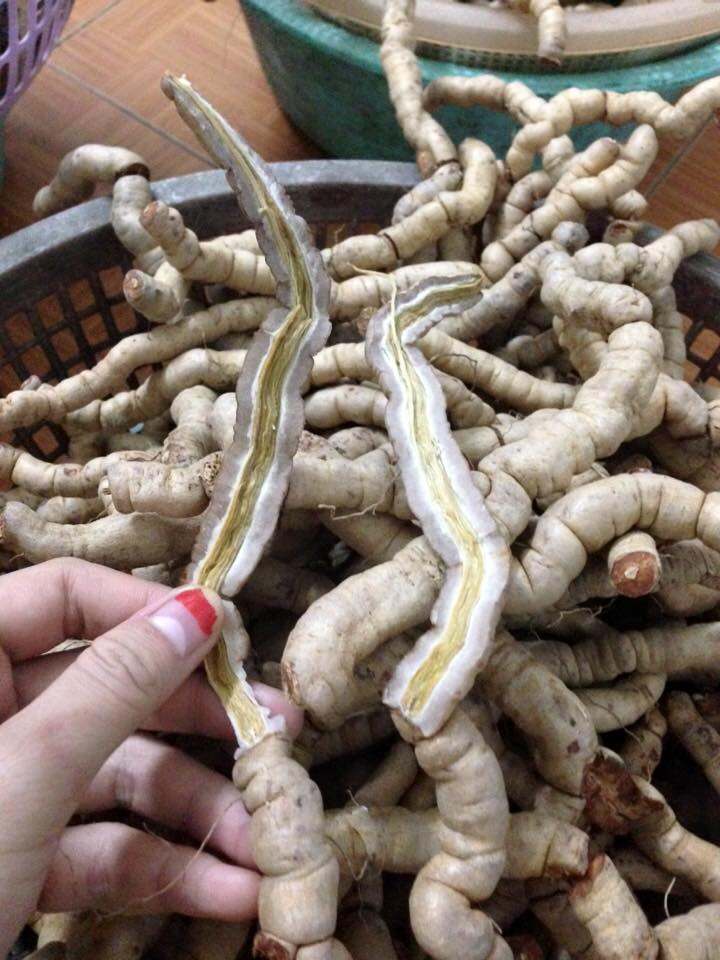 1kg ba kích tím tách lõi