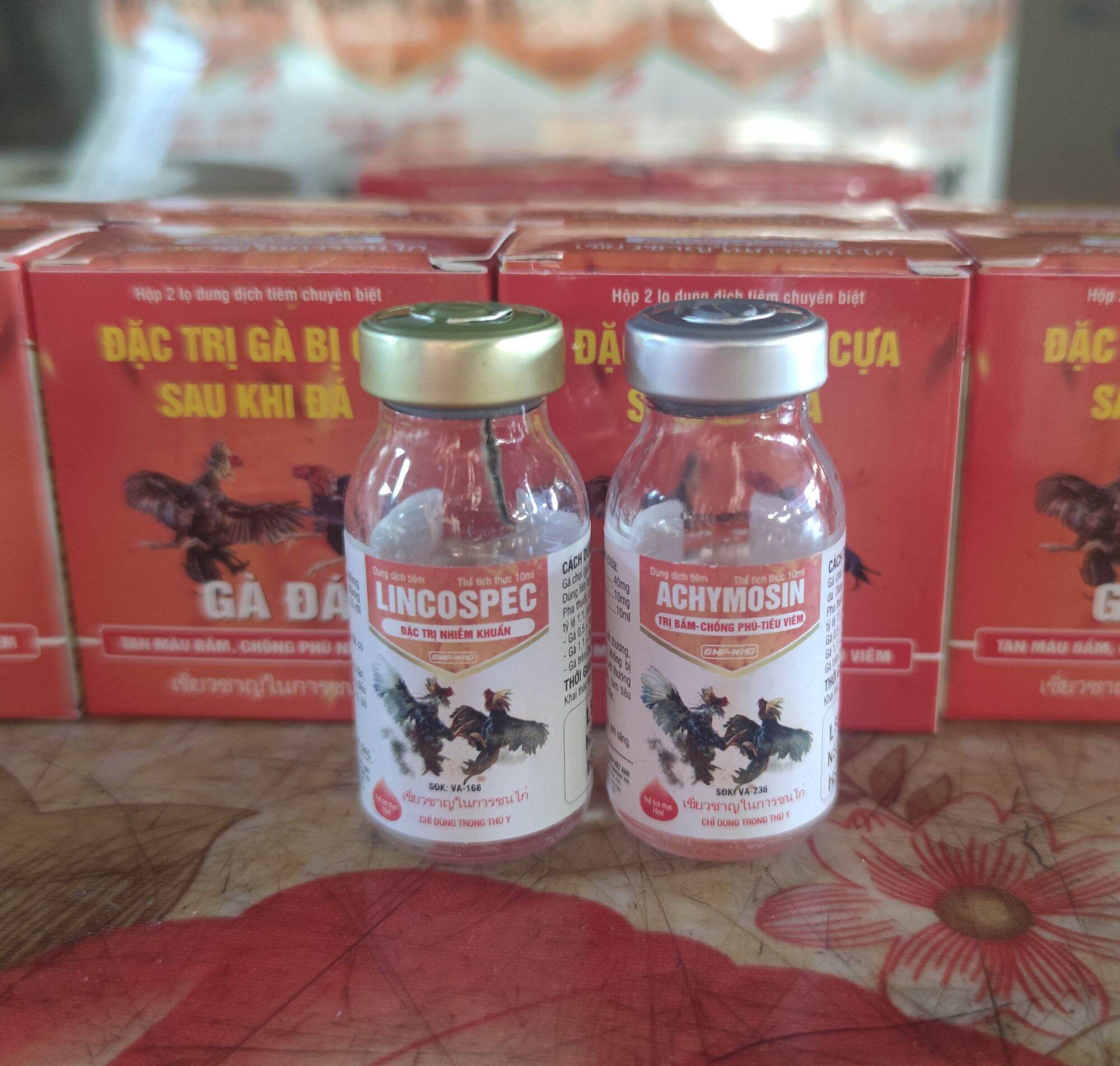 D.a.c t.r.i gà bị cựa sau đá