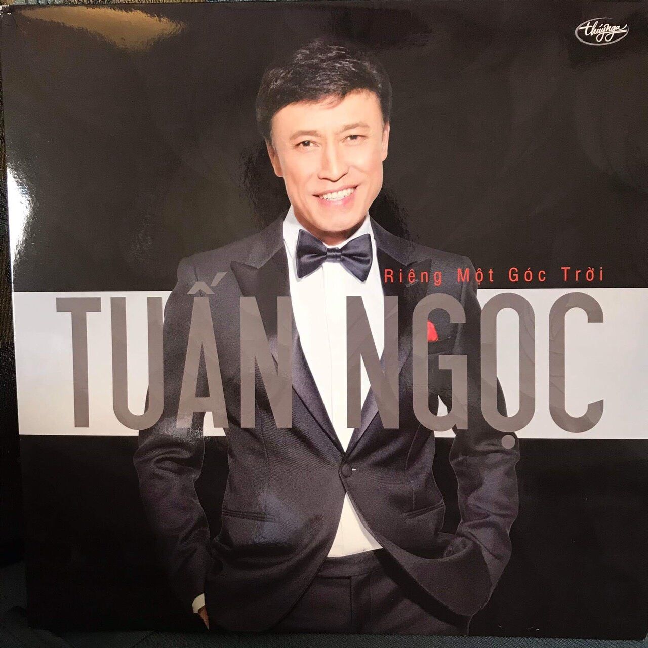 Đĩa than Tuấn Ngọc - Riêng Một Góc Trời (Chính Hãng) [Vinyl LP]
