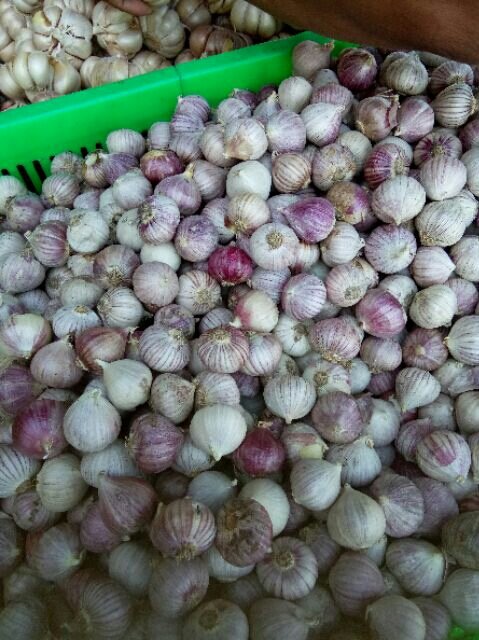 1kg tỏi cô đơn