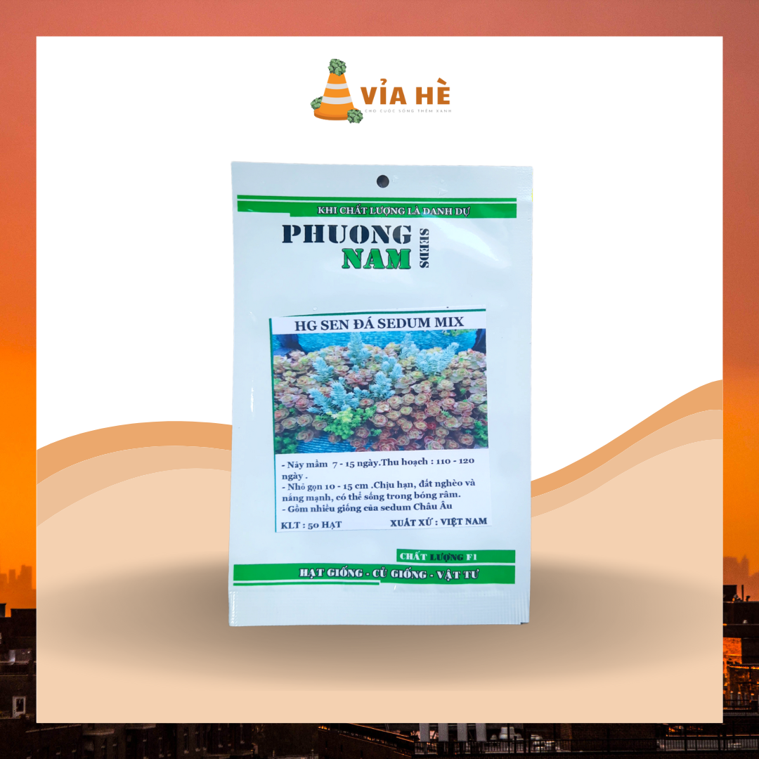 50H - HẠT GIỐNG SEN ĐÁ SEDUM