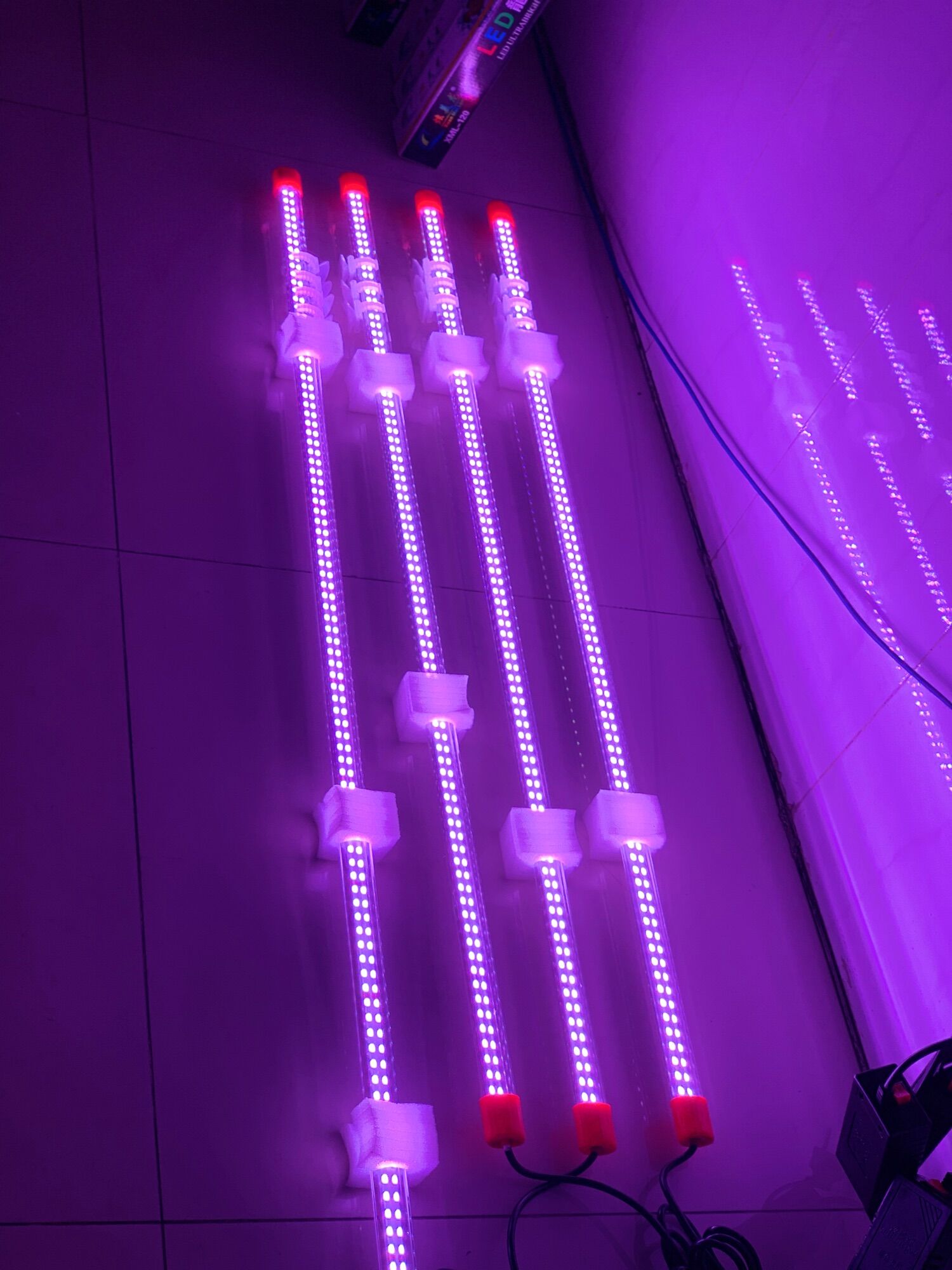 Đèn led xml 2 hàng bóng - led thủy tinh - chuyên dụng cho cá cảnh