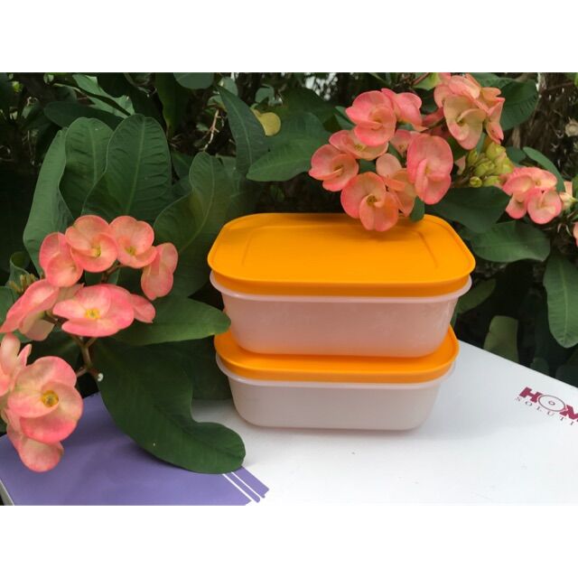 2 hộp trữ đông 450ml Gen 2 Tupperware