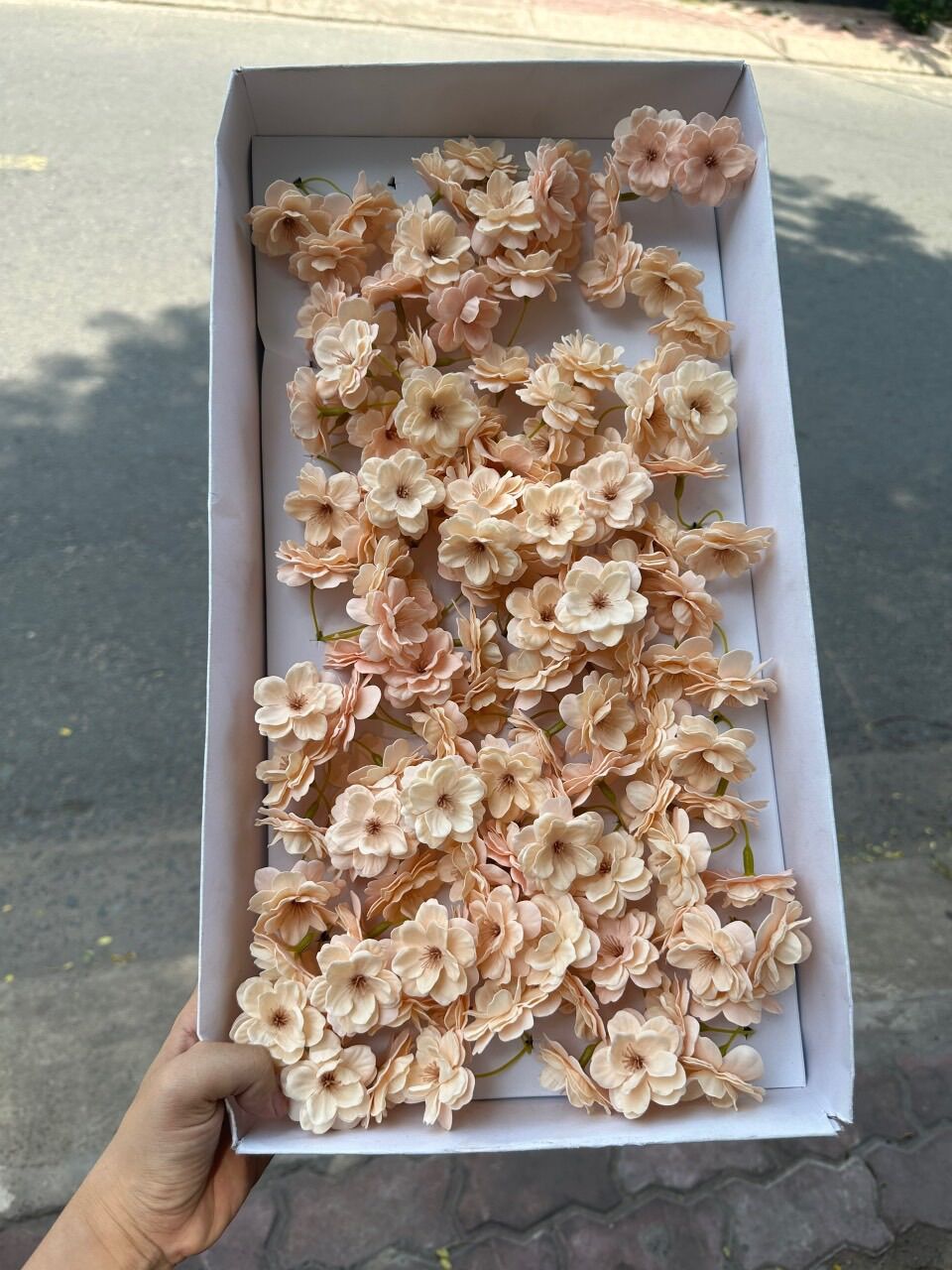 Hoa sáp mai anh đào hộp 50 chùm giá tốt