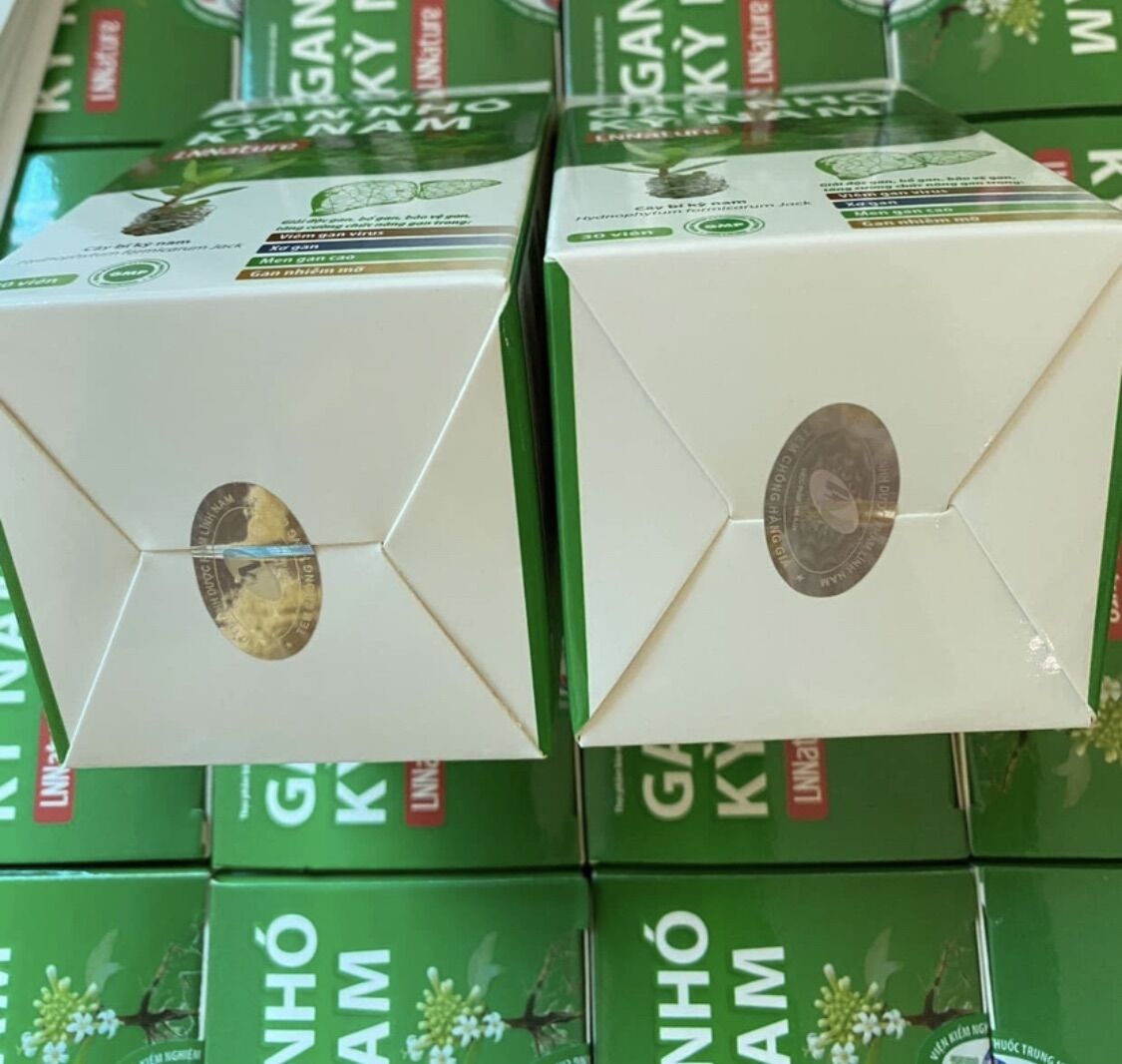 Gan nhó kỳ nam - Date mới 2027