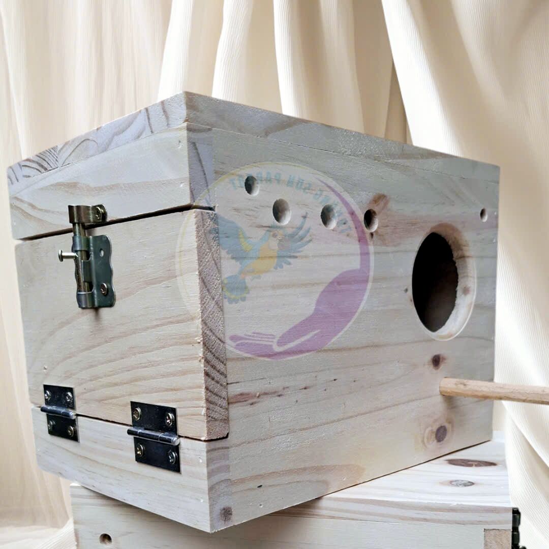 Tổ đẻ cho lovebird