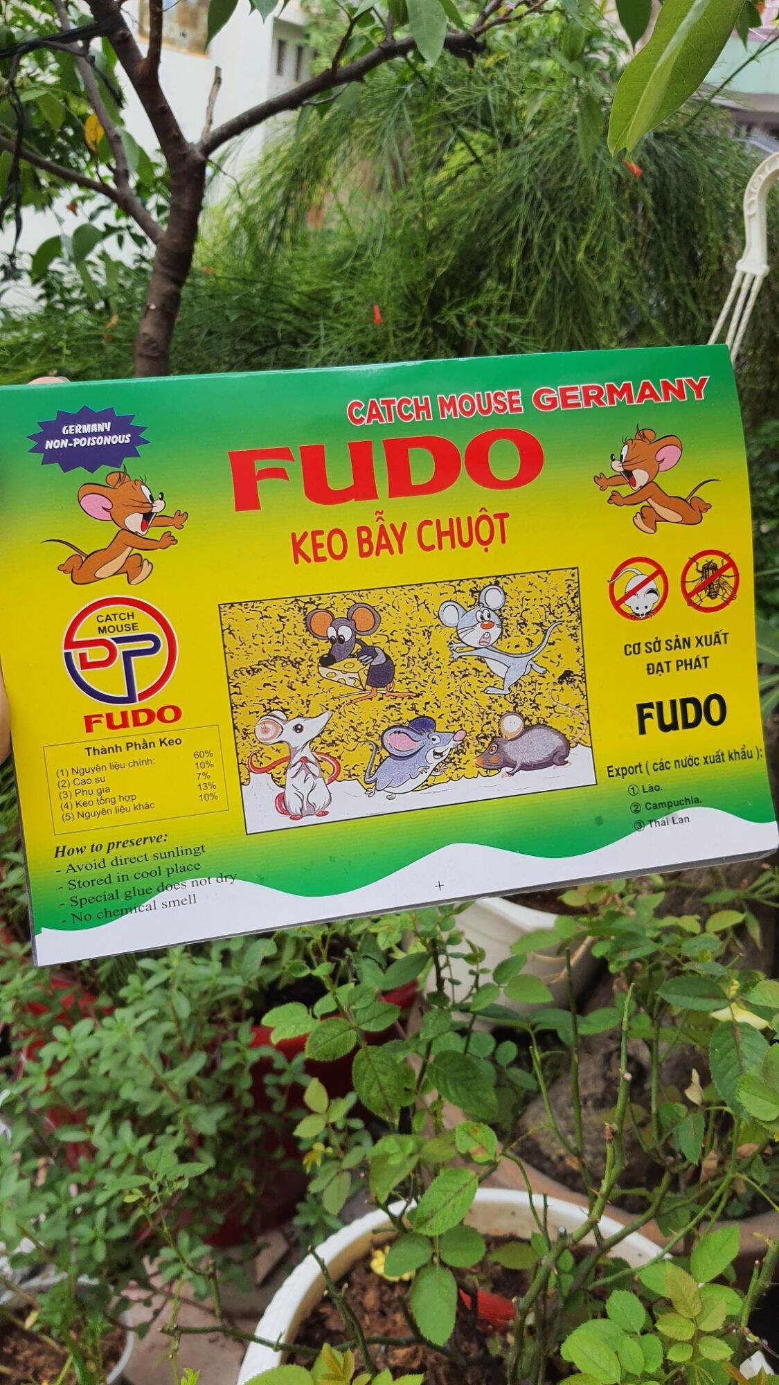 miếng keo dính chuột siêu bẫy chuột hiệu quả