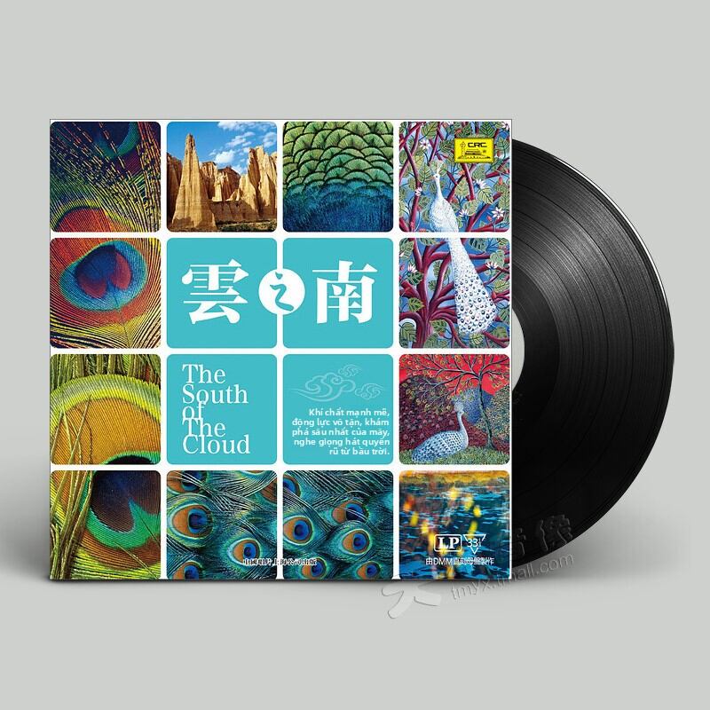 Bàn Đĩa Than Hi-Fi Âm Nhạc Dân Tộc Dân Gian Chỉ LP 12in