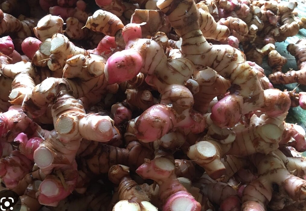 củ riềng tươi 500g