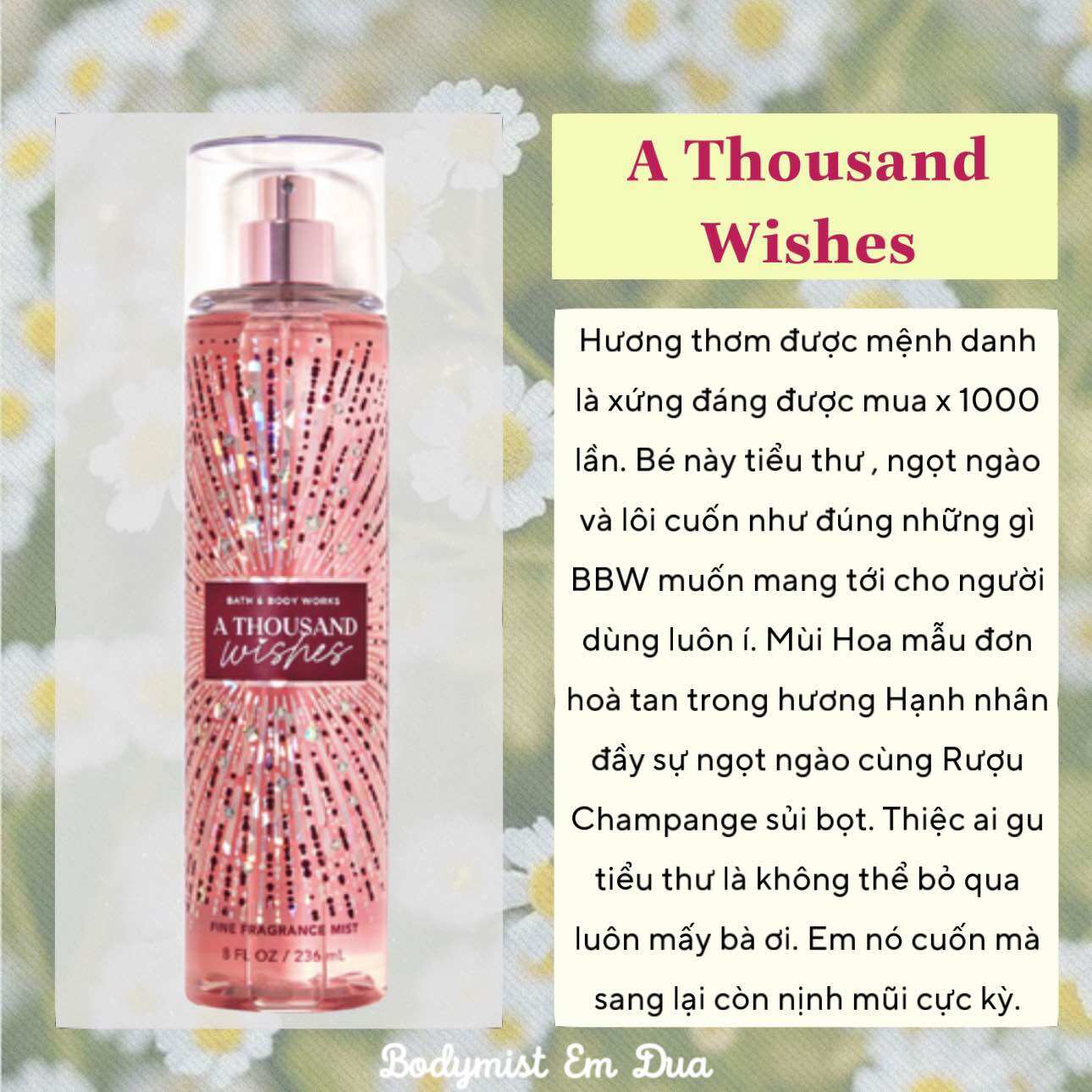 [AUTH - Bath & Body Works] Xịt Thơm Toàn Thân Bodymist - Mùi hương A THOUSAND WISHES 236ml - Bodymist Em Dứa