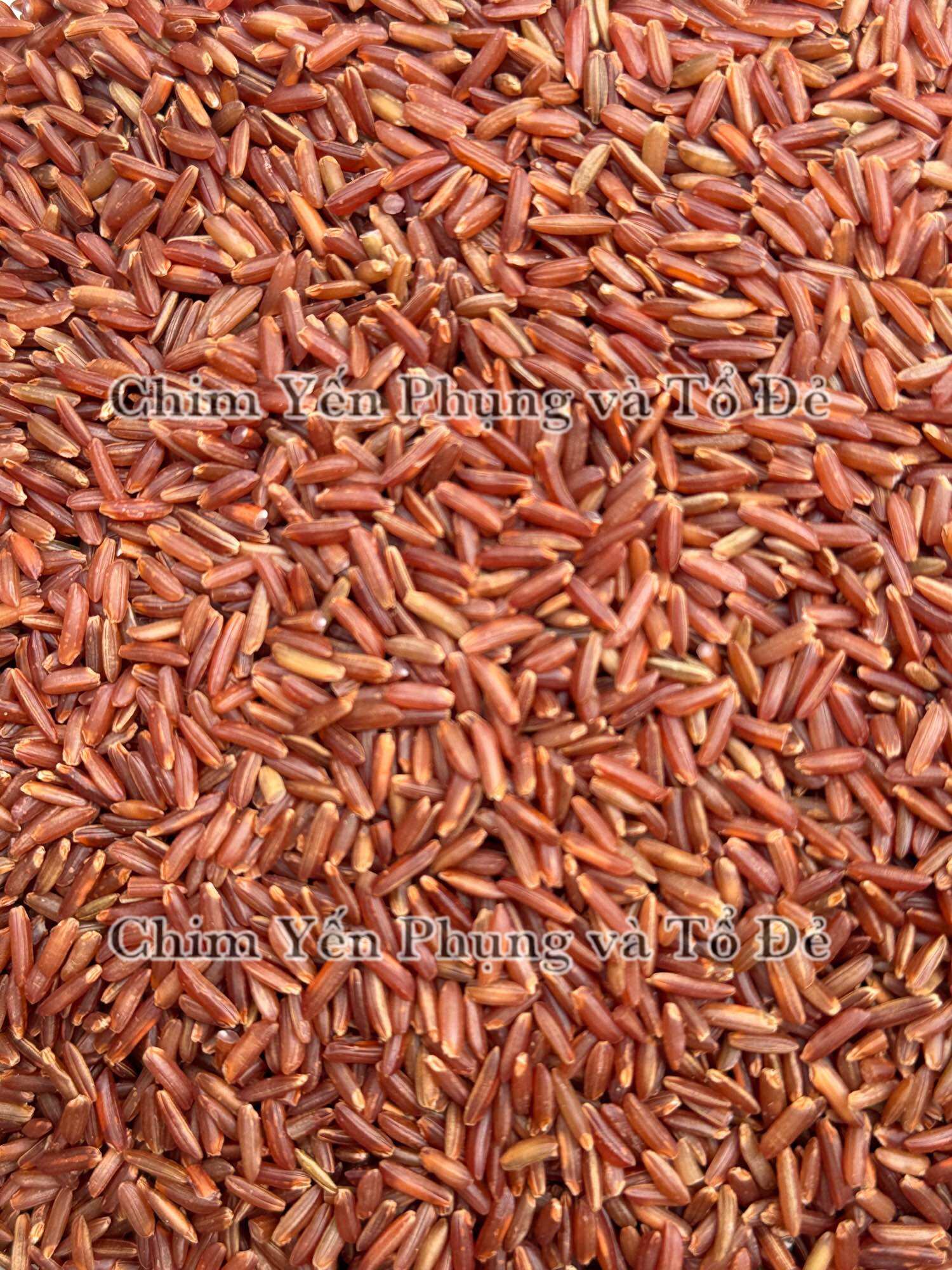 1kg Gạo Đỏ Huyết Rồng – Gạo Lứt Huyết Rồng Tự Nhiên, Dinh Dưỡng