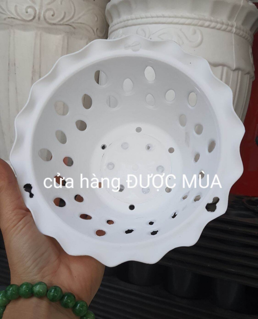 chậu nhựa trồng lan phi 16 miệng bèo 3 màu