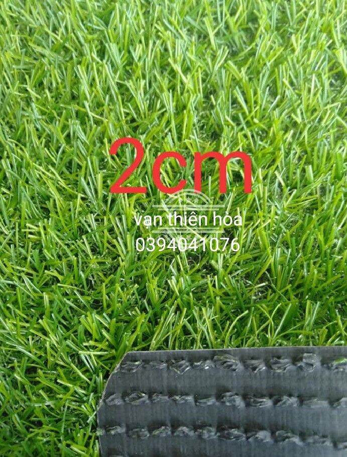 [HCM]combo 10 m cỏ nhân tạo 2 cm