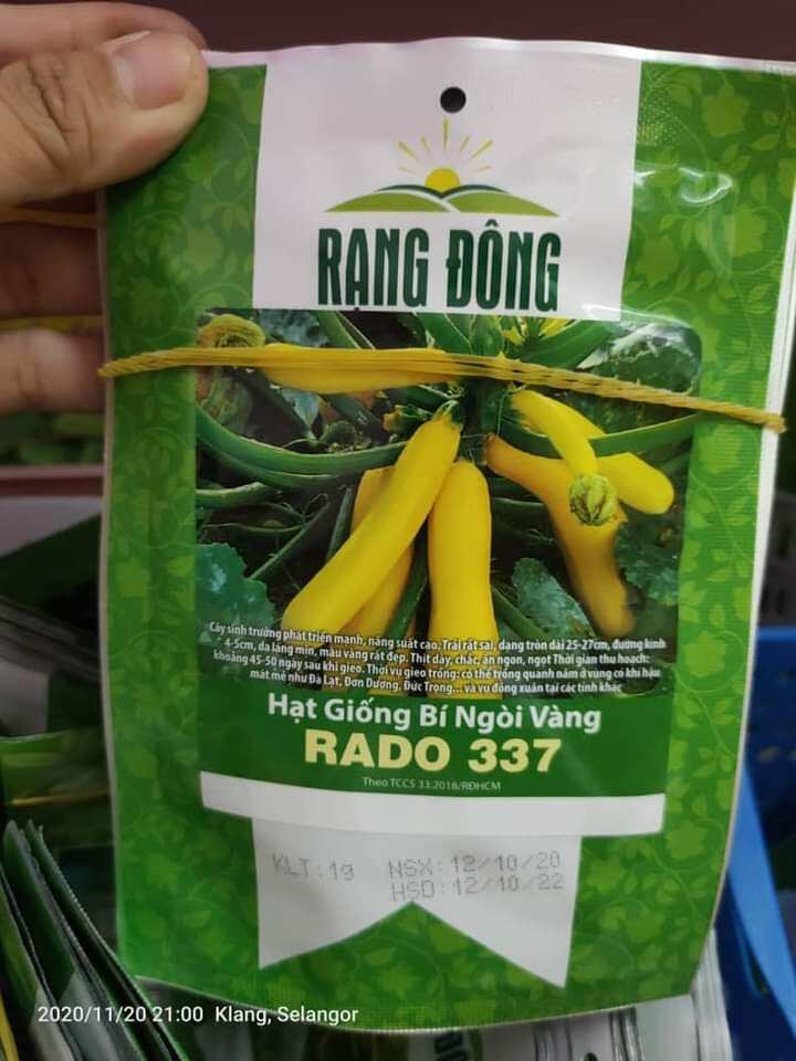 Hạt giống bí ngòi vàng