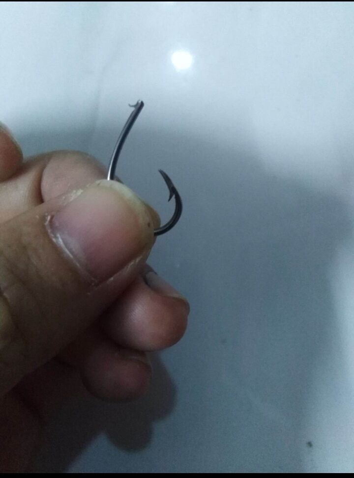 100 Lưỡi Ó Cắm Câu