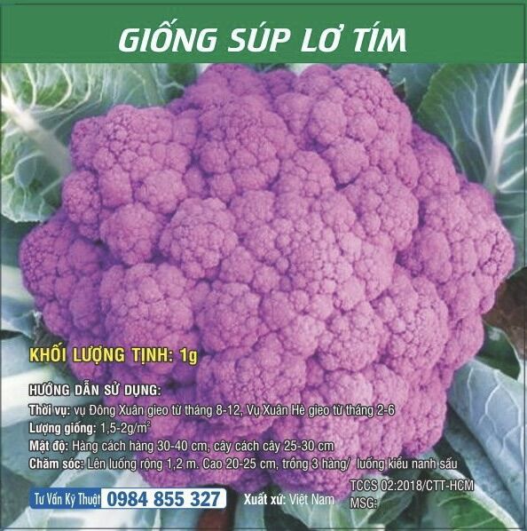 Hạt giống Súp Lơ tím